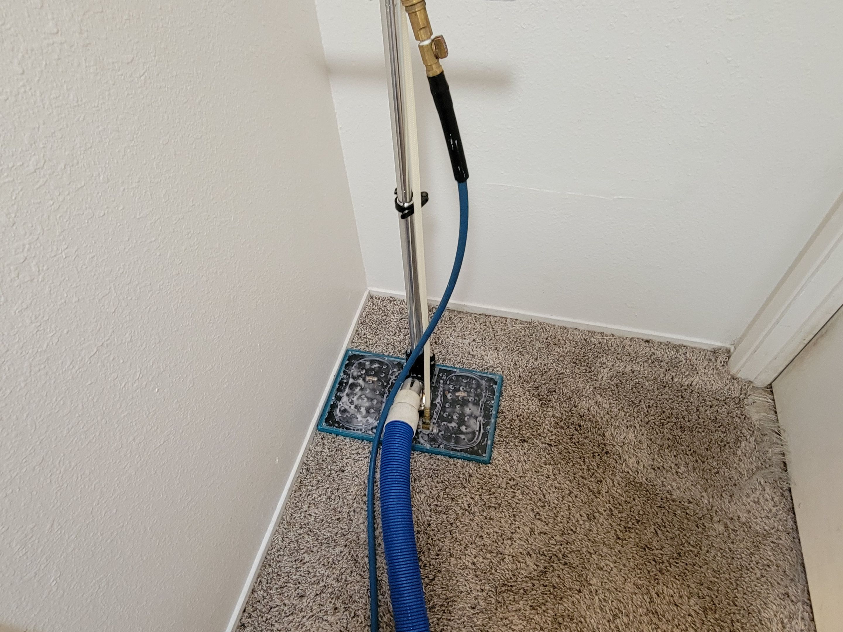 Pet Treament and Carpet Cleaning by Ardent Carpet Restore LLC