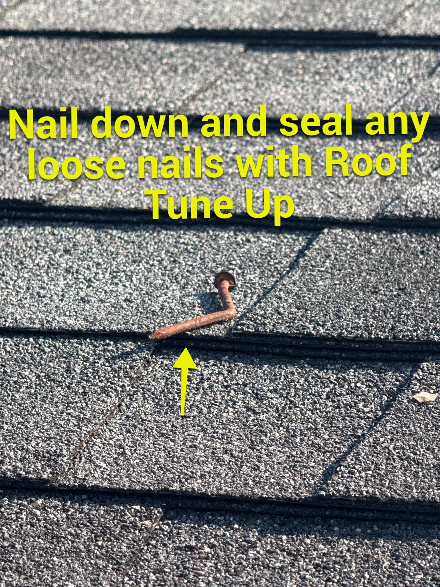 Project in Petersburg by Roof Maxx of Midlothian