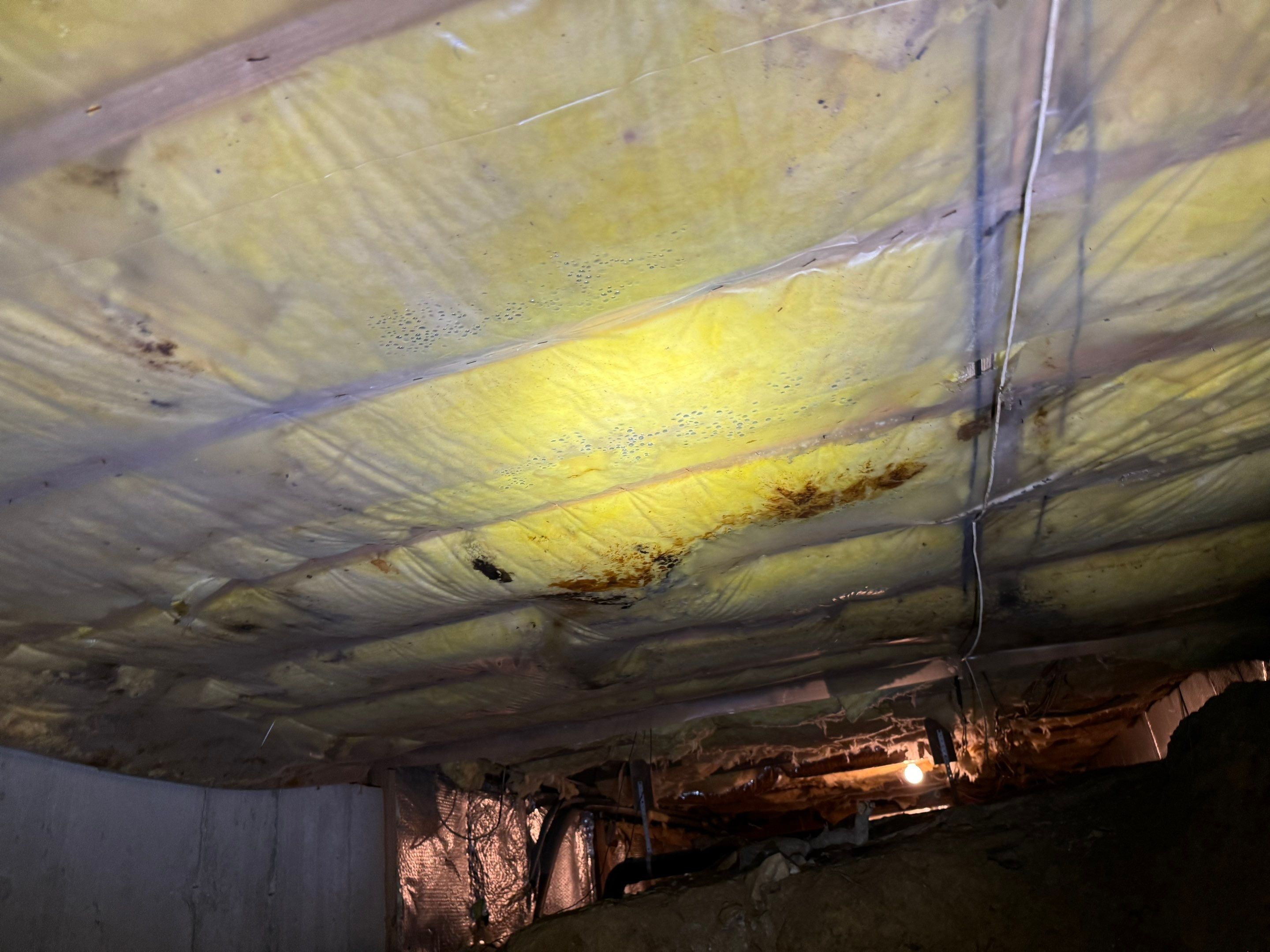 Mold Remediation (Basement) using Home Guarantee by Home Guarantee, LLC