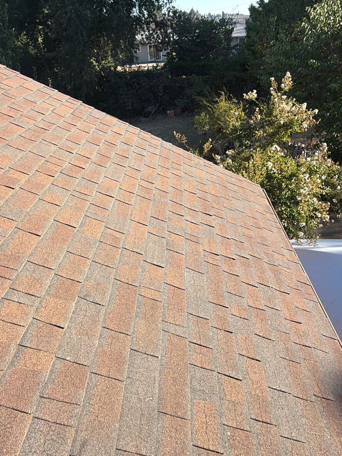 Roof Rejuvenation using Roof Maxx Treatment by Roof Maxx of Folsom