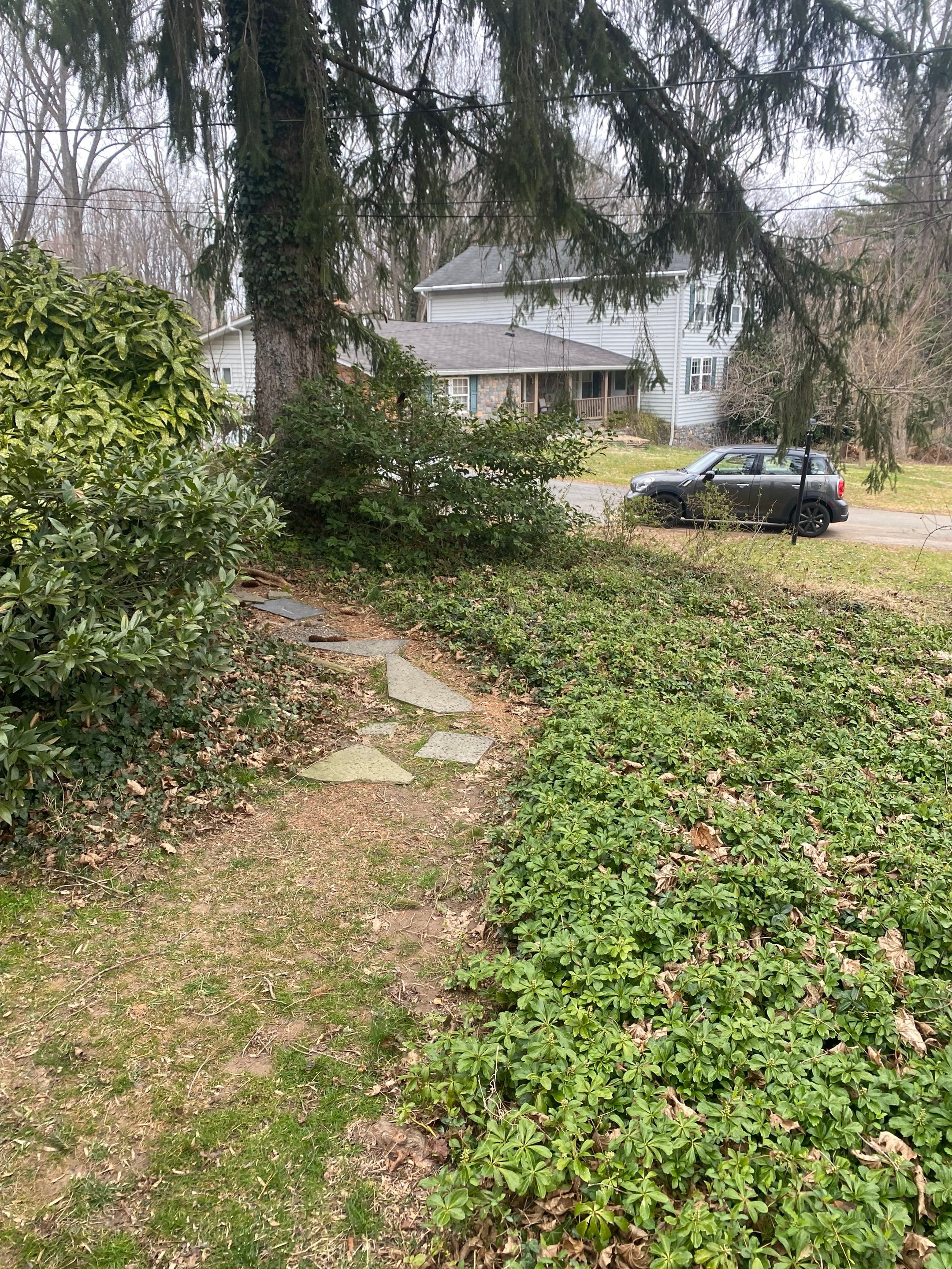 Landscape cleanup & drainage by The Smet Companies, LLC