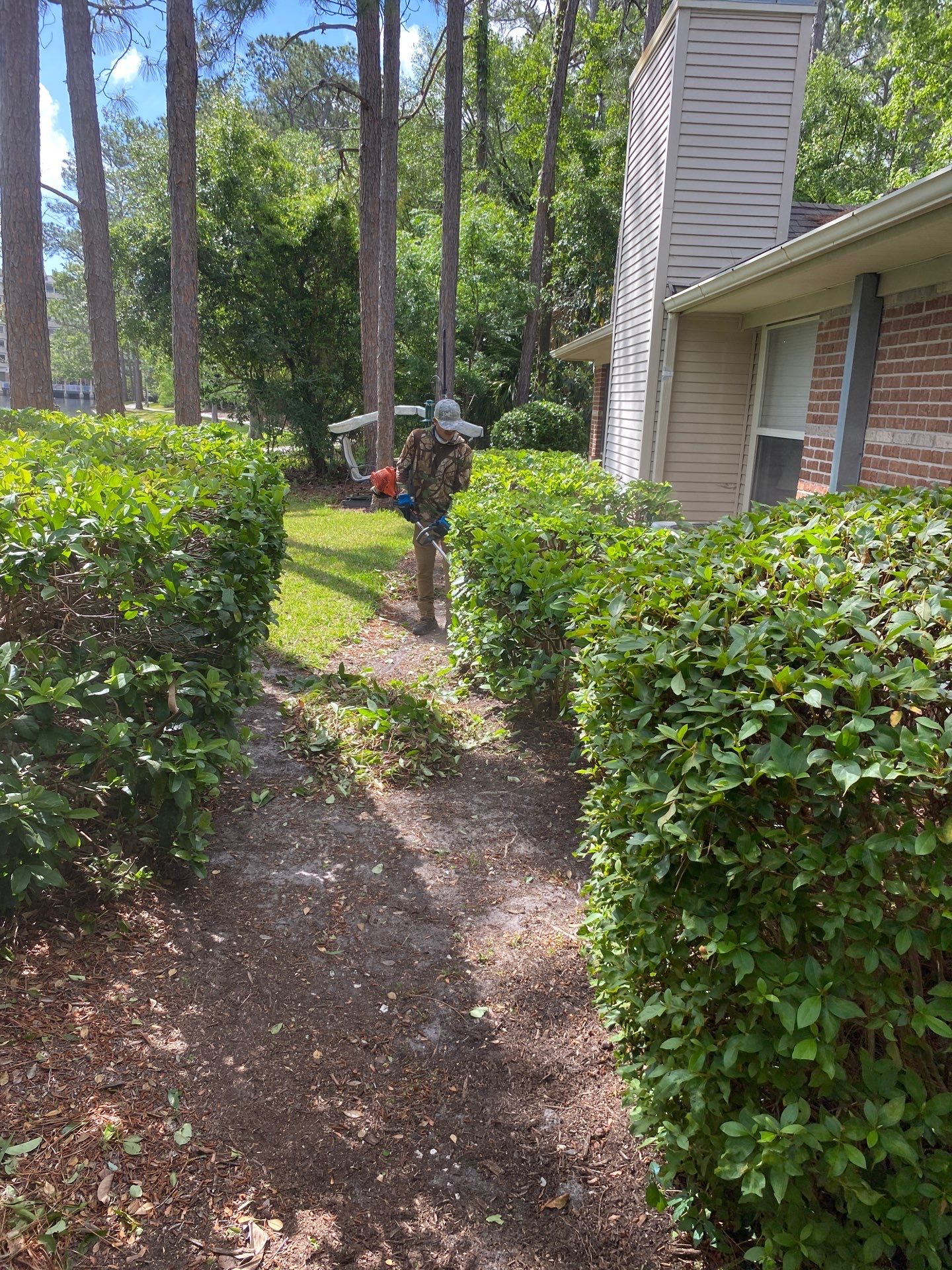 Residential | Volunteer Clean-Up by ProGreen Services