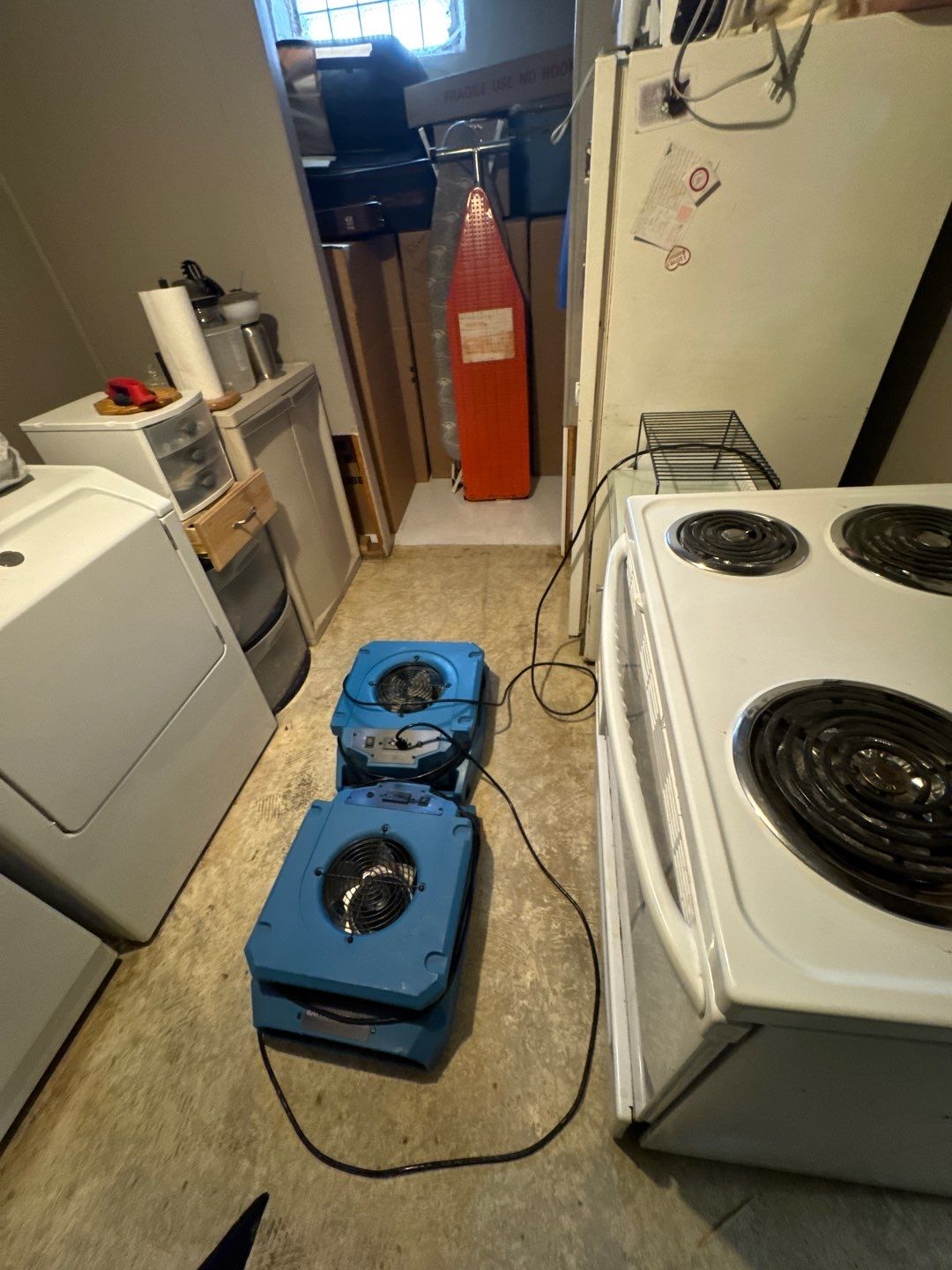 Project in Westland by EzDry Water Mitigation & Property Restoration