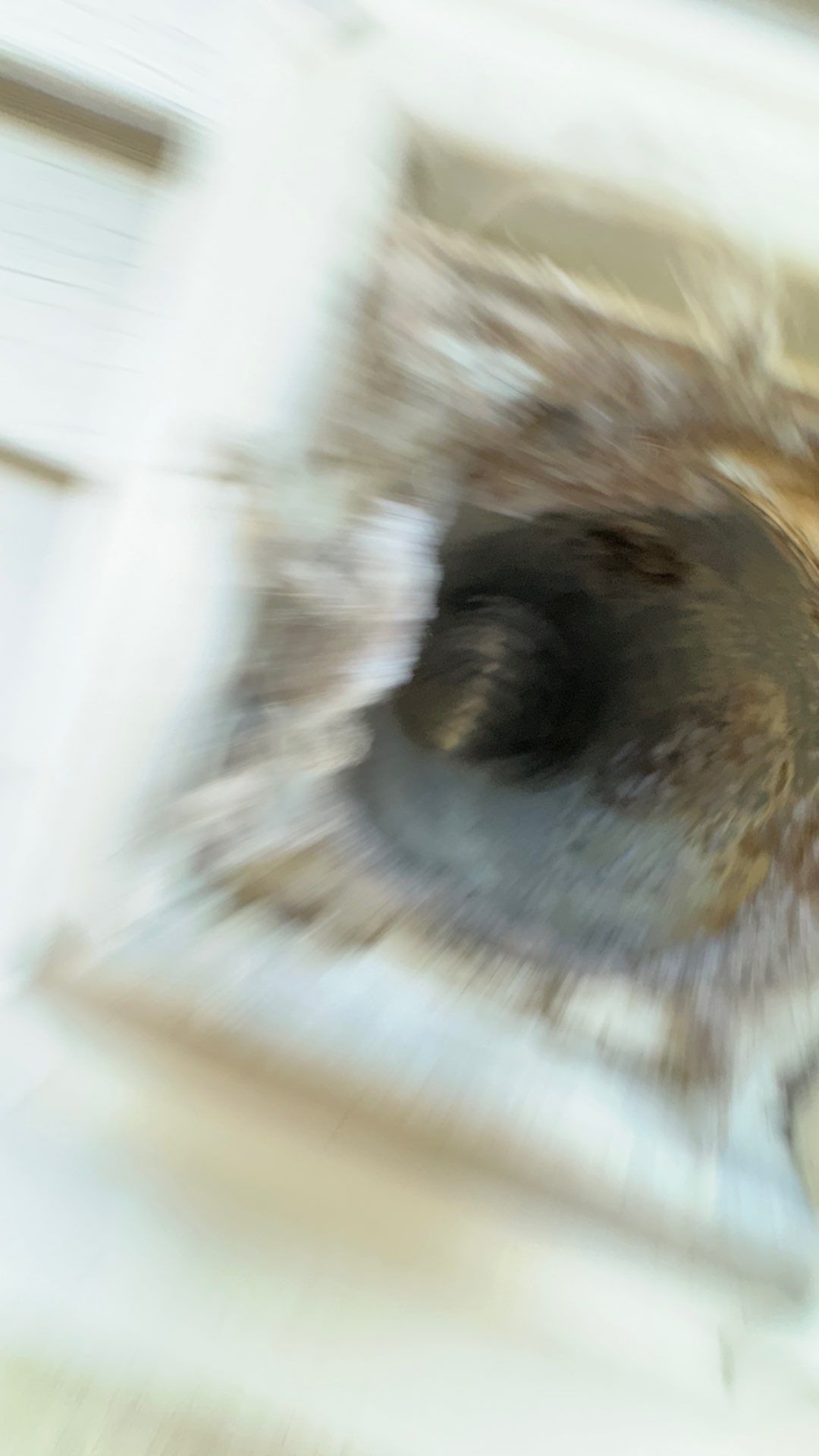 Dryer Vent Cleaning by TMS Services