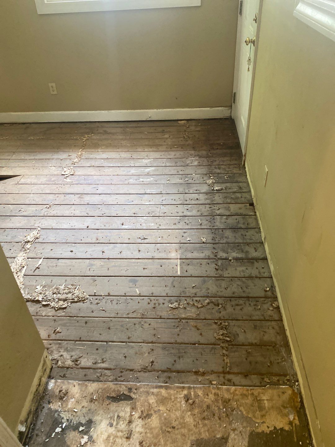 Repairs after water and asbestos remediation by ANR Restoration