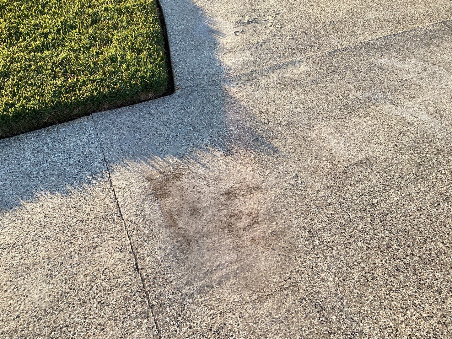 Dynamic Domato Driveway by Deese Elite Concrete Coatings