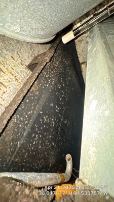 Air Duct Cleaning in Ocoee