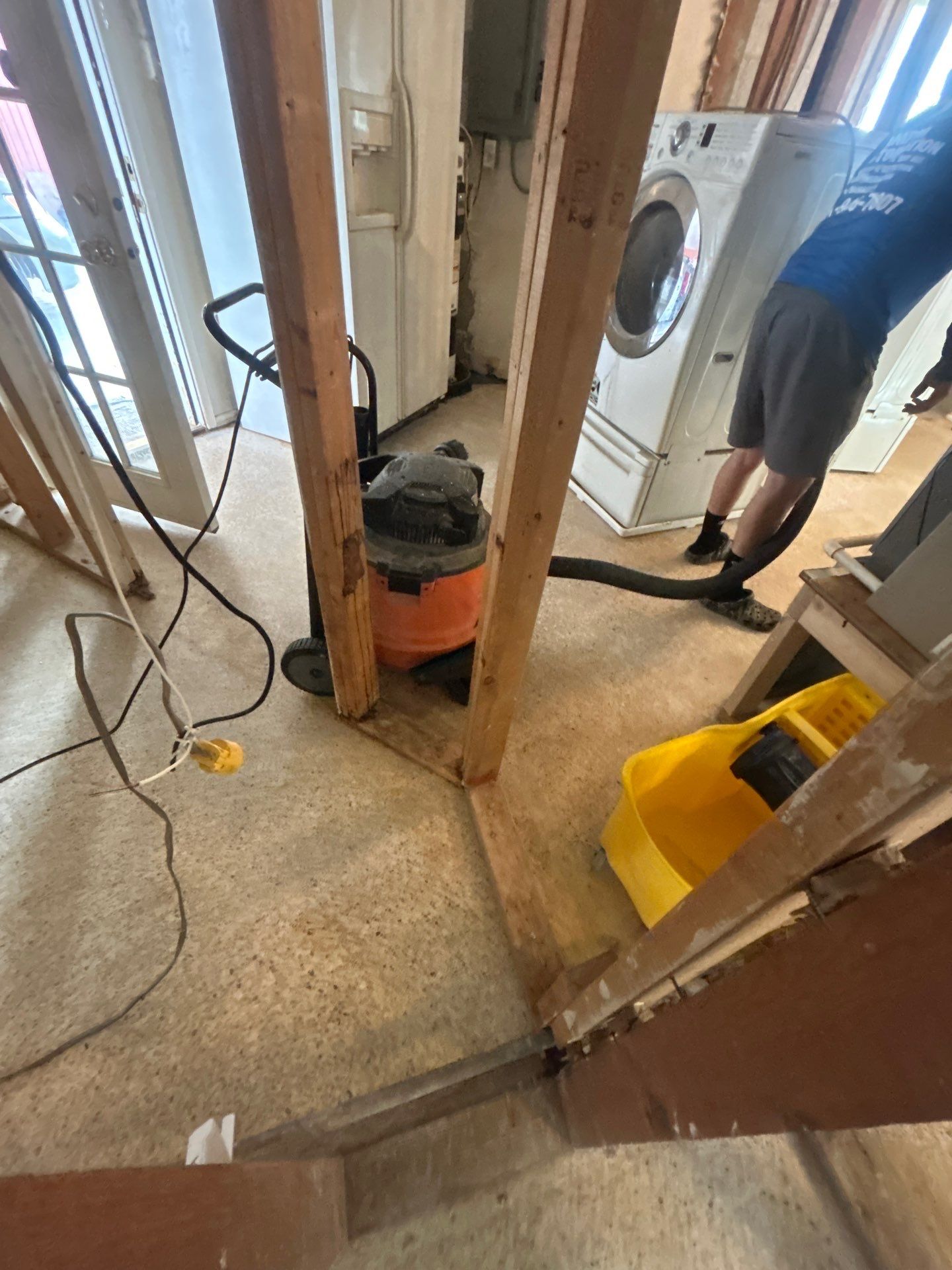 Sarasota Mold Remediation by Ampm Restoration Services