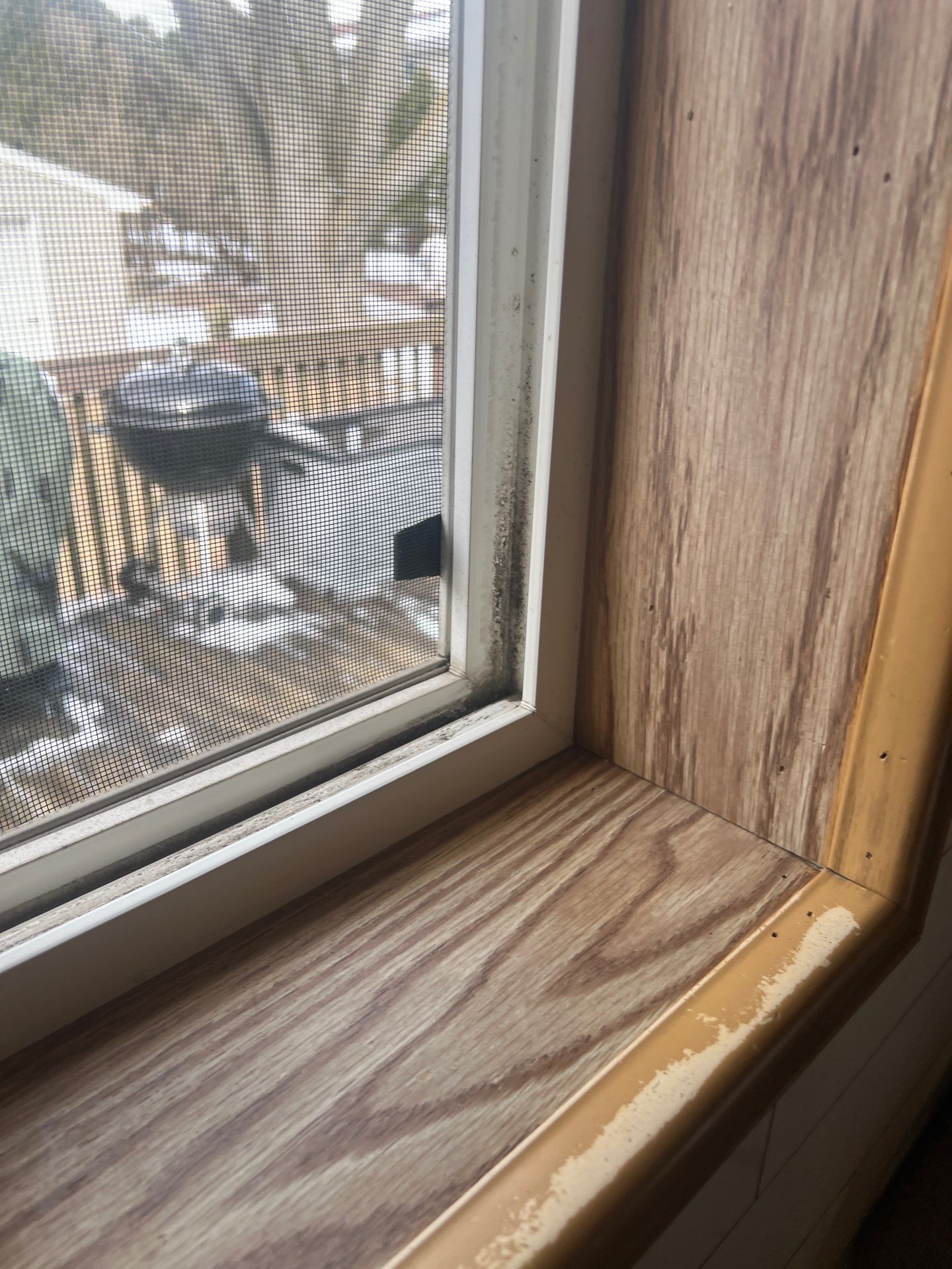 Siding -Deck - Windows  by Gellings Roofing & Siding