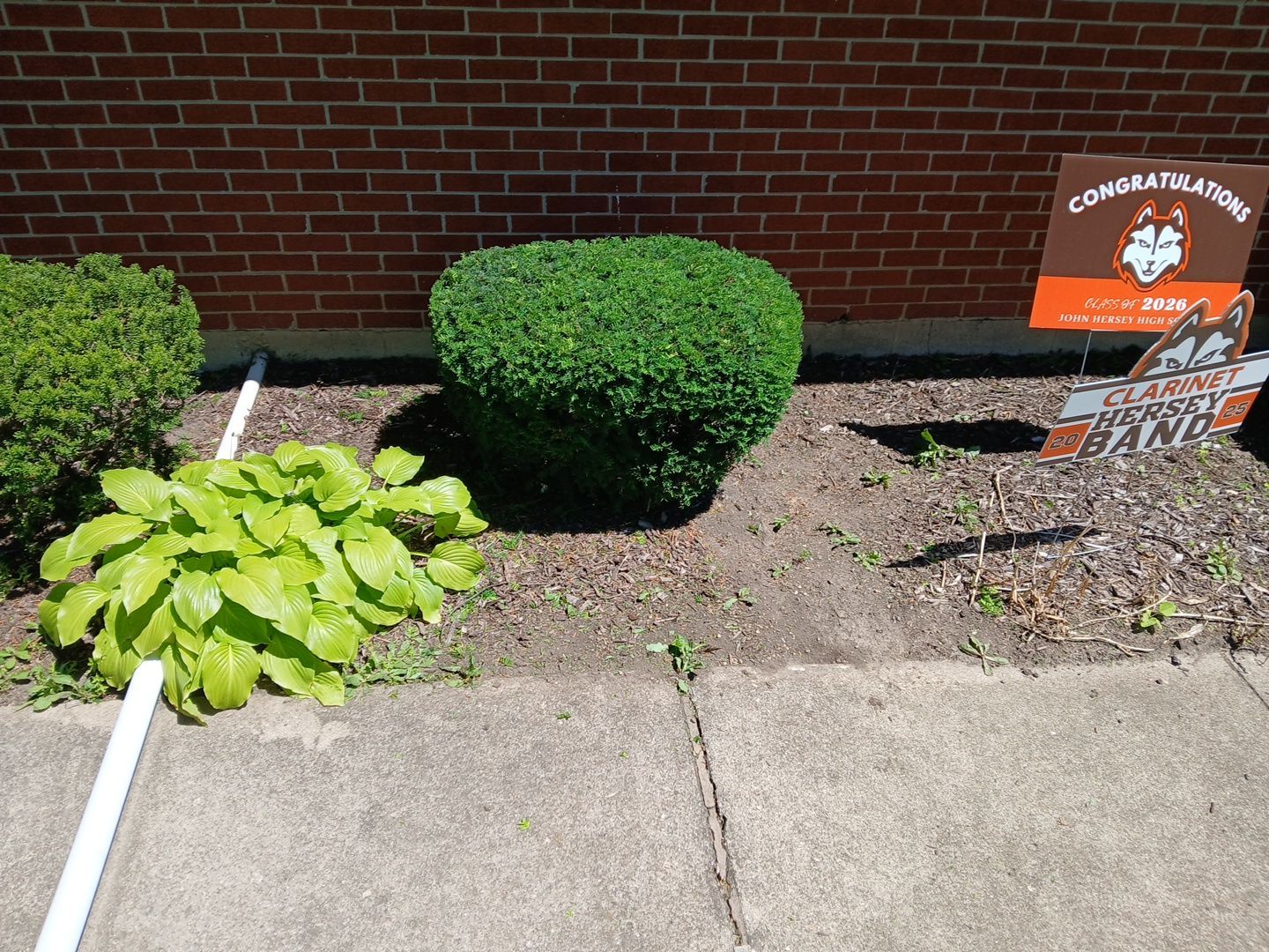 Martha C. - Mount Prospect, IL by A&N 