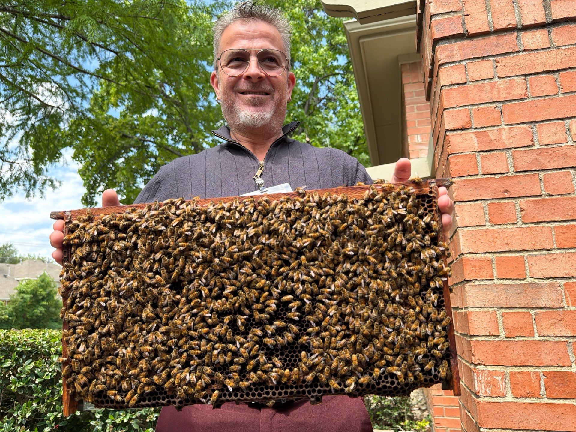 Apartment Retreat for Honey Bees in Garland by Rockwall Honey Bee Company