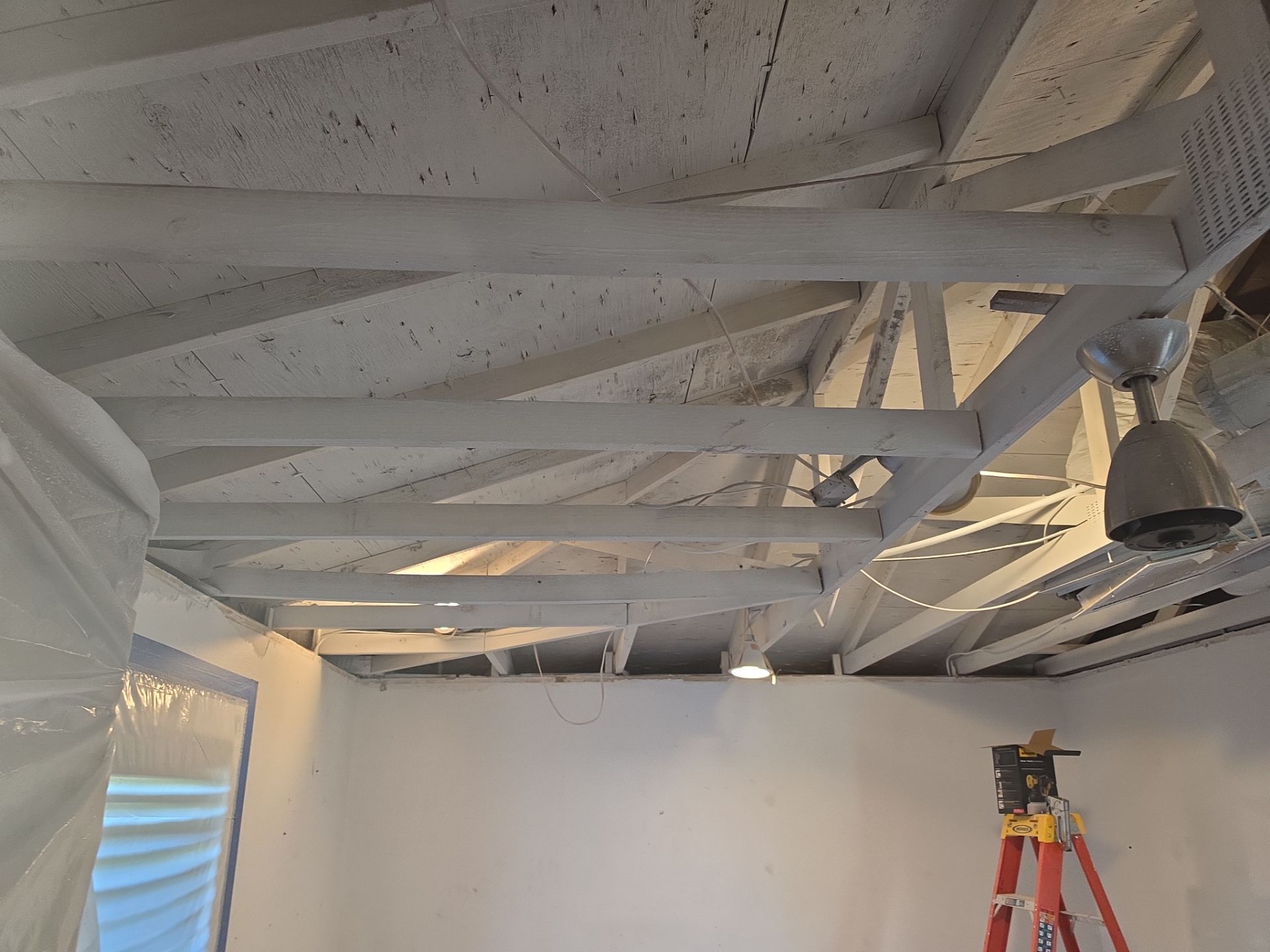 Windstorm Damage & Multi-Room Water Mitigation in St. Petersburg by Right On Time Restoration