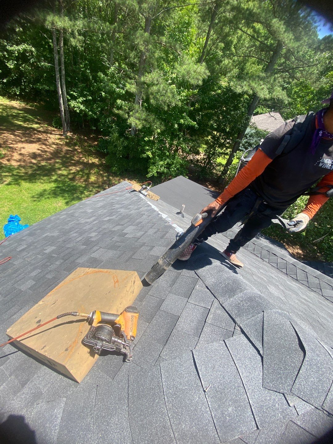 Rotten Wood by Roof Bullies