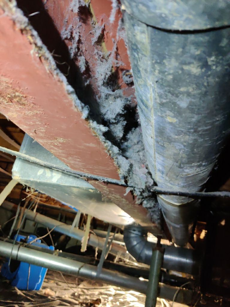 Crawl Space Cleanup  by Accountable Home Services