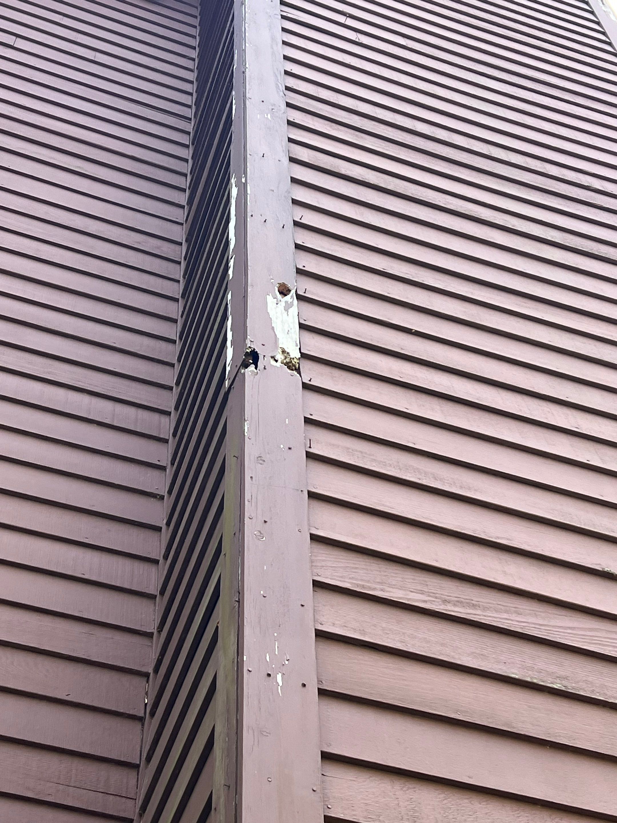 Siding | Methuen by Mighty Dog Roofing of Greater Middlesex County