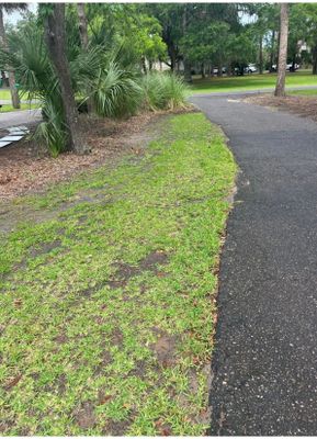 Concrete Driveway Replacement with Brick Paver Accents in Hilton Head Island