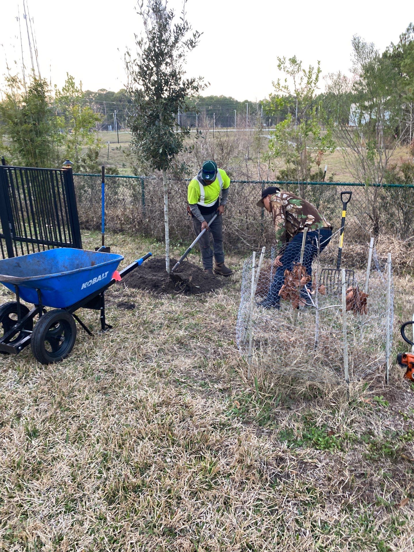 Deerwood Resident | Tree Install by ProGreen Services