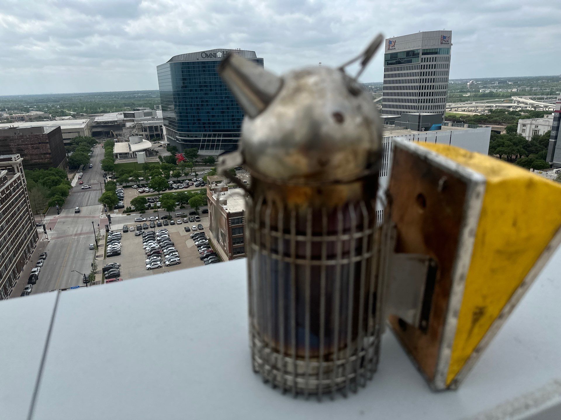 Downtown Dallas by Rockwall Honey Bee Company
