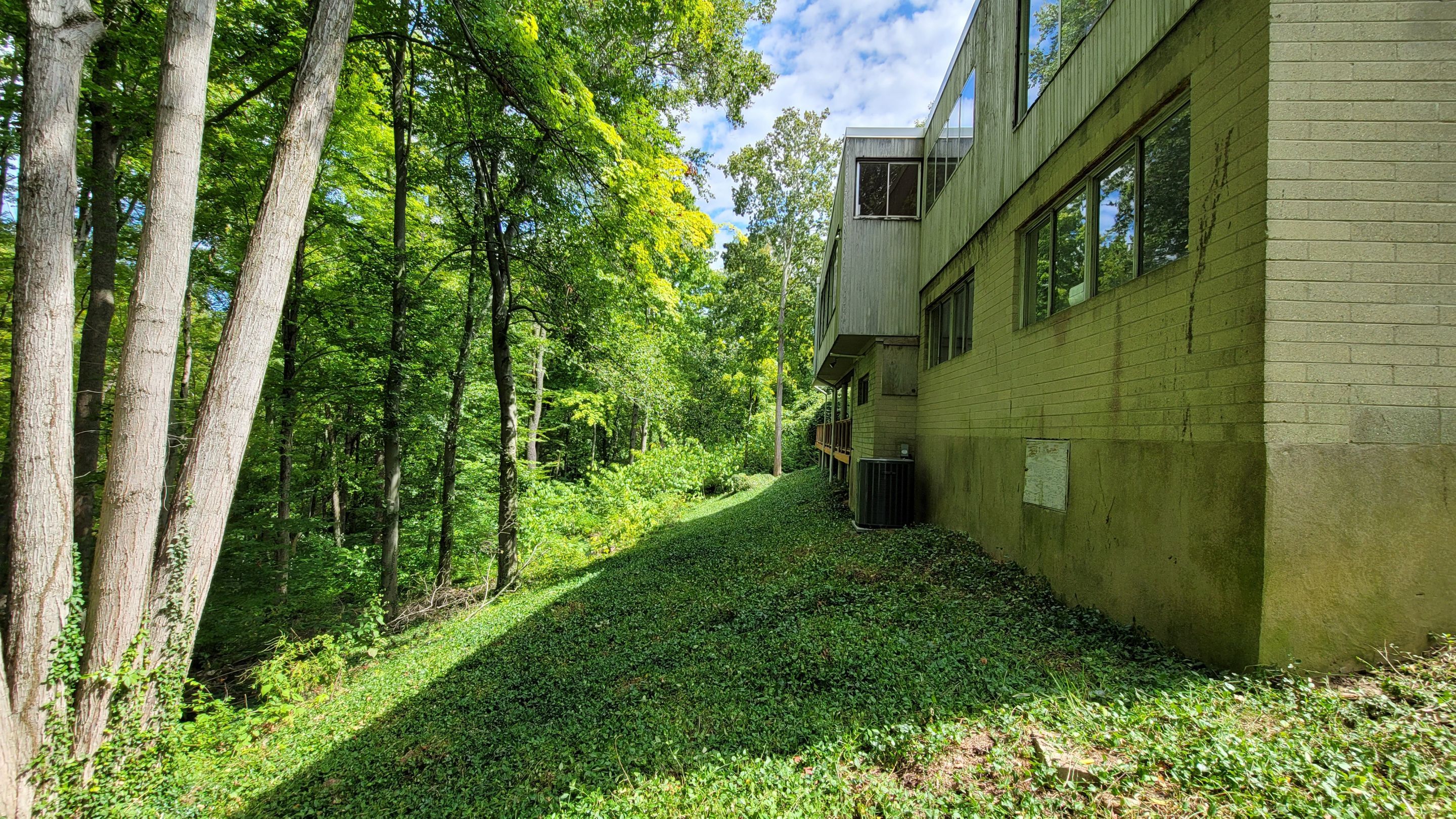 Land Clearing Behind House and Deck by Reisenberg’s Lawn & Landscape, LLC