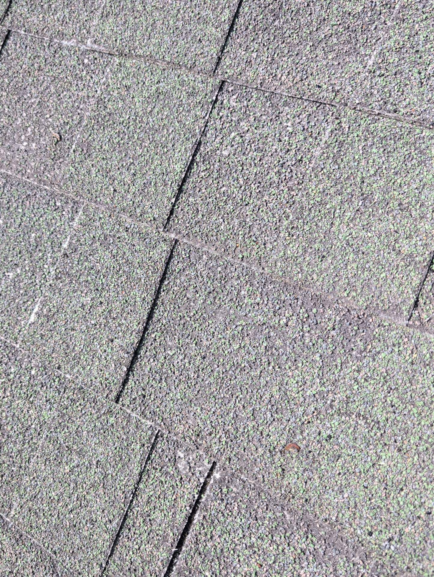 Roof Replacement & Seamless Gutters in Cape Fair by Table Rock Design + Build