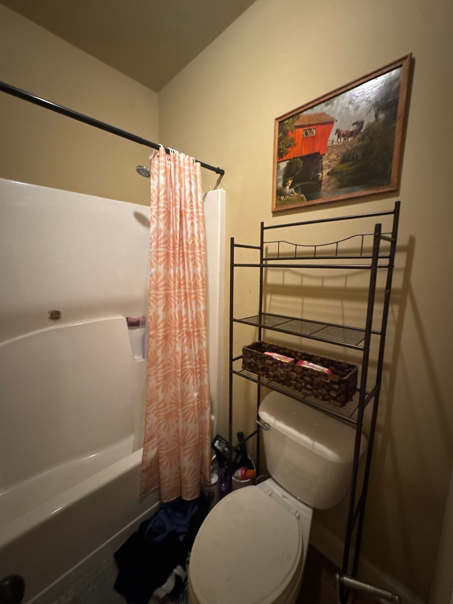 Bathroom Renovation by Praise God Painting, LLC