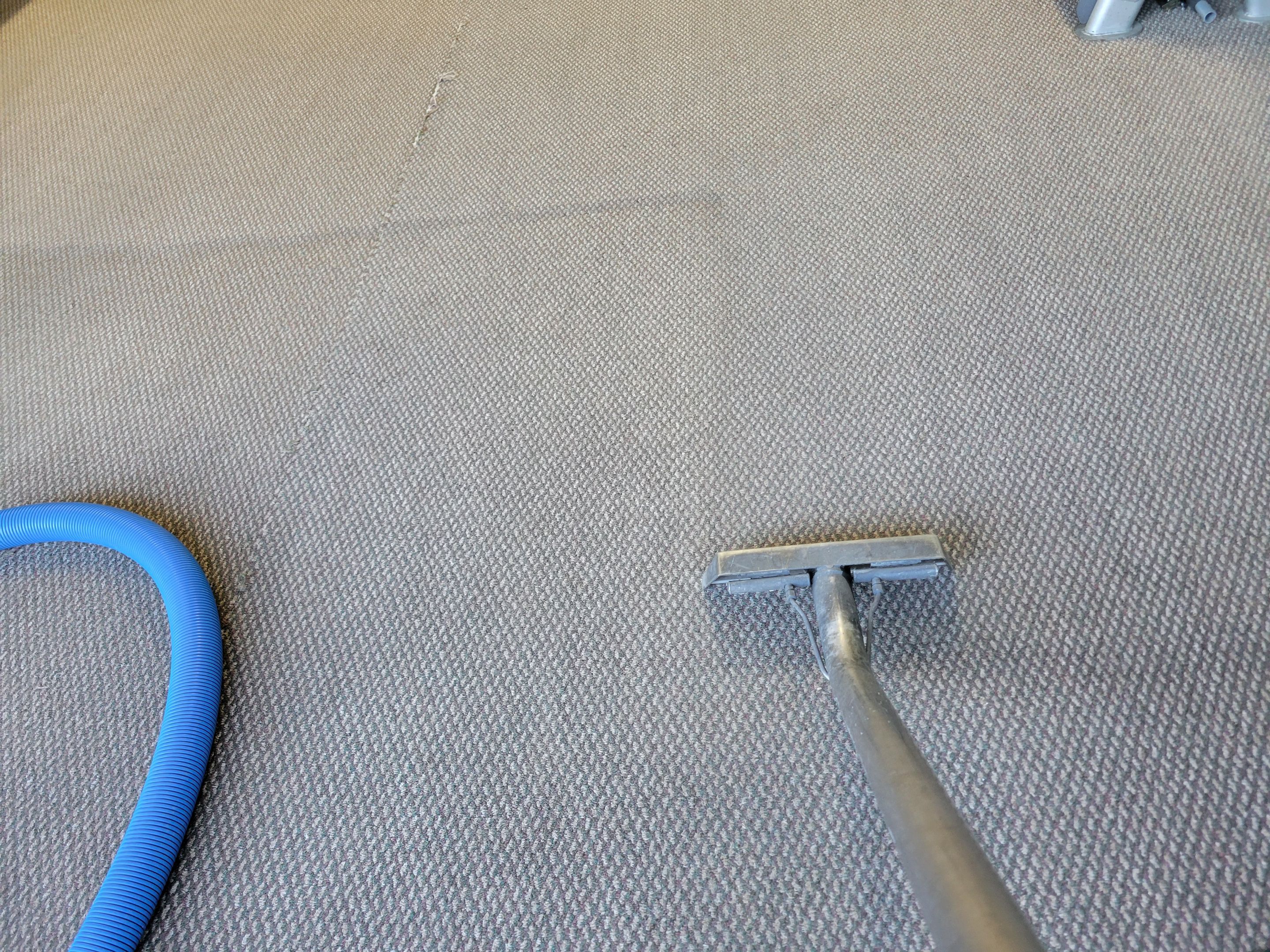 Carpet Cleaning of Home, Including Garage by Ardent Carpet Restore LLC