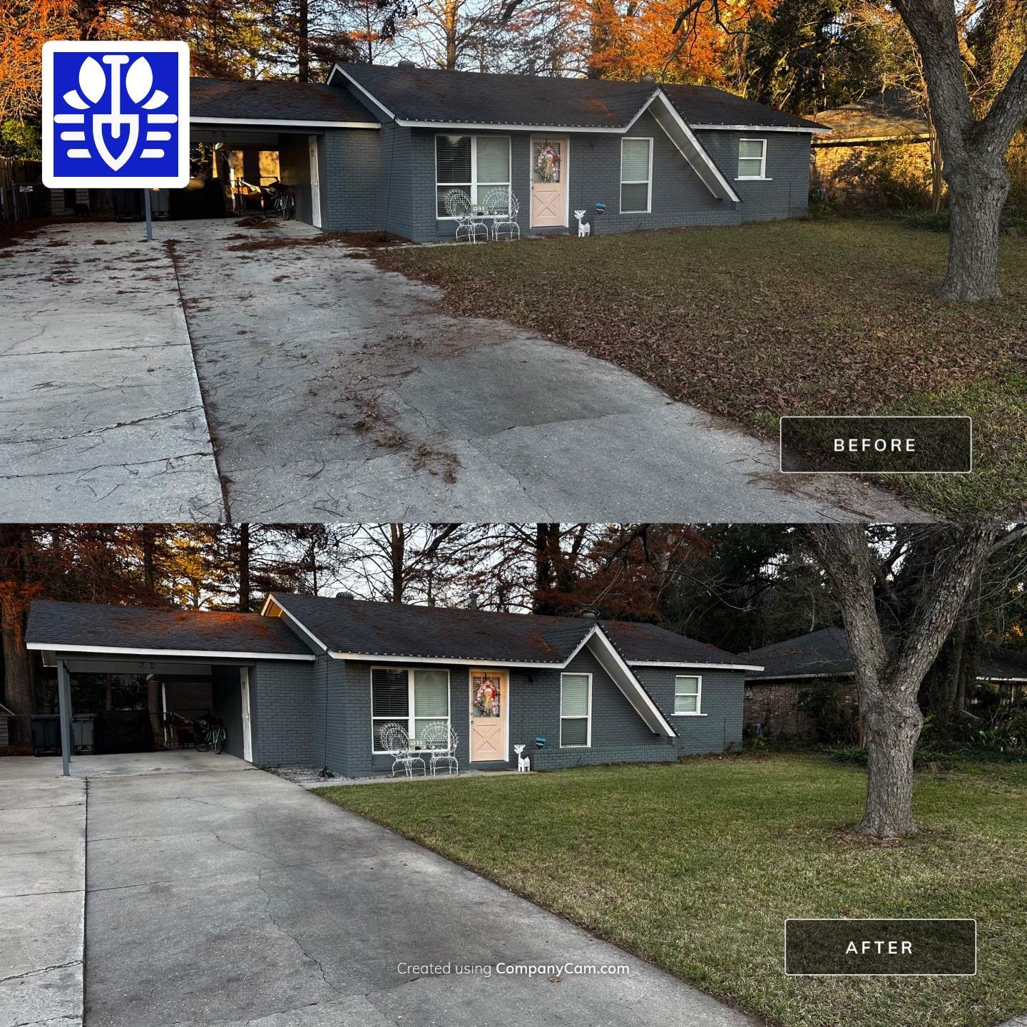 WINTER SERVICES: FULL LEAF JOB by CutScape, LLC.