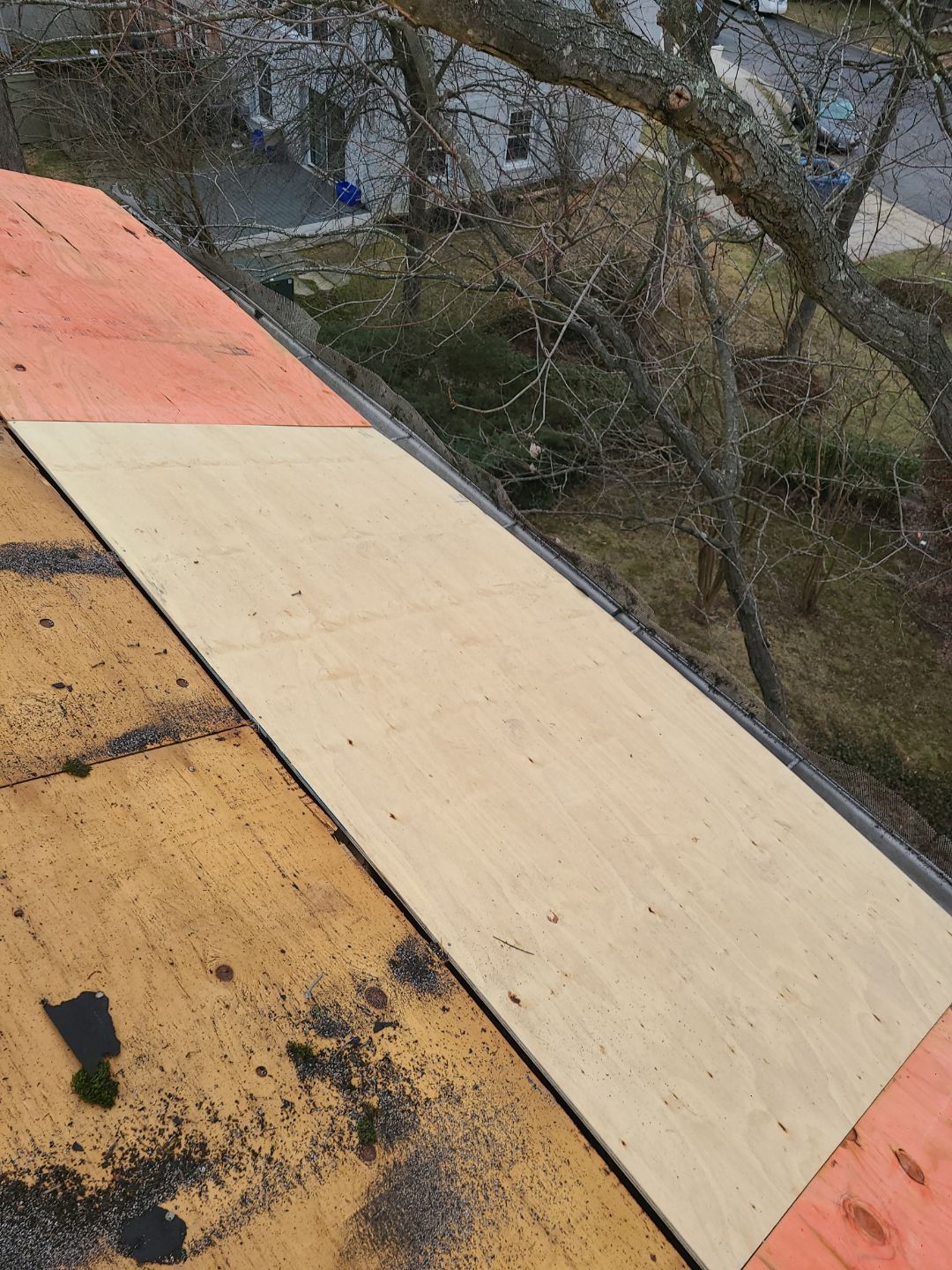 Alexandria Certainteed Landmark Roof in Colonial Slate by RM Banning, Inc.