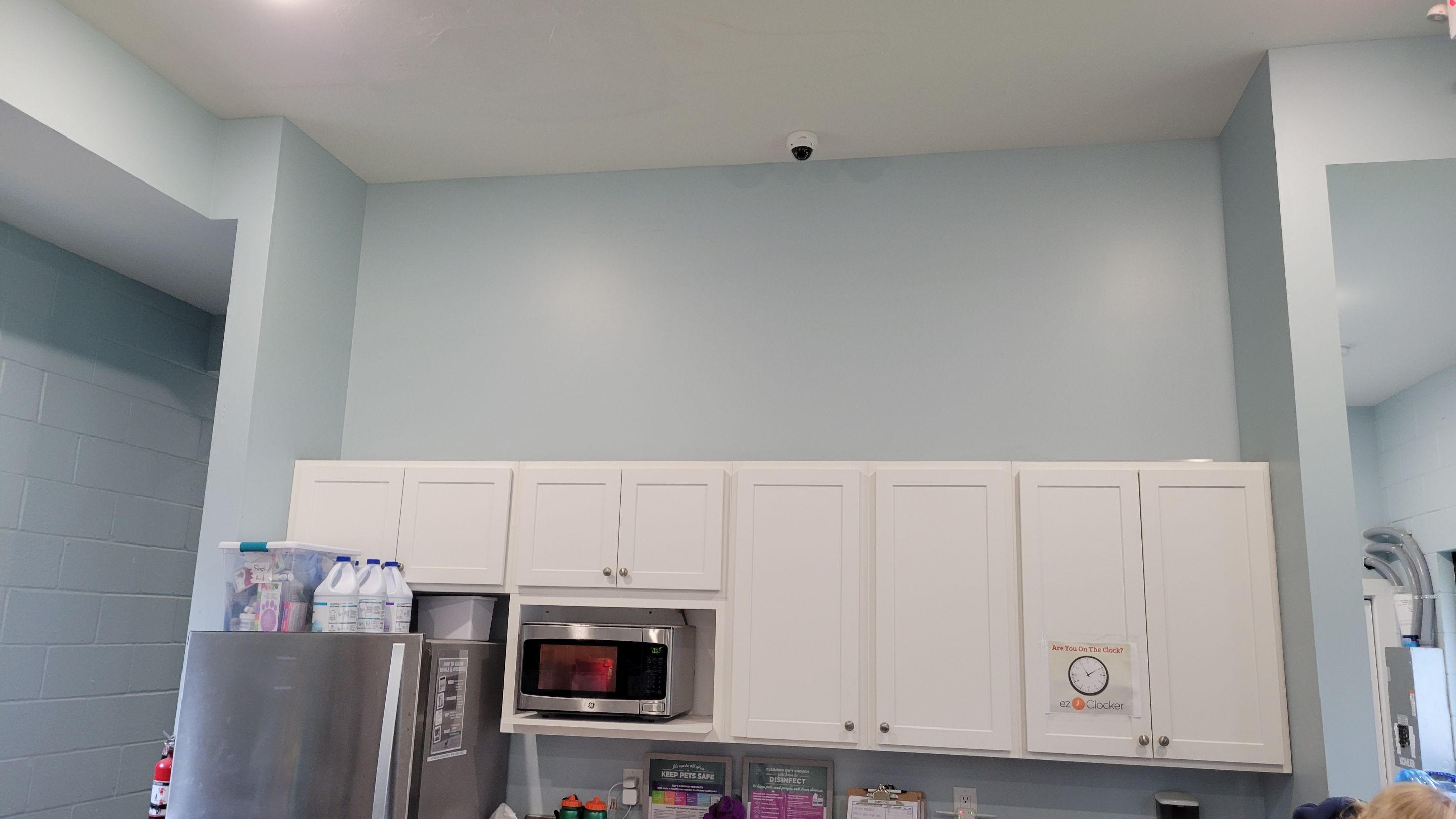 Kennel Floor Coating and Wall Painting using Penntek by Spectrum Painting, LLC