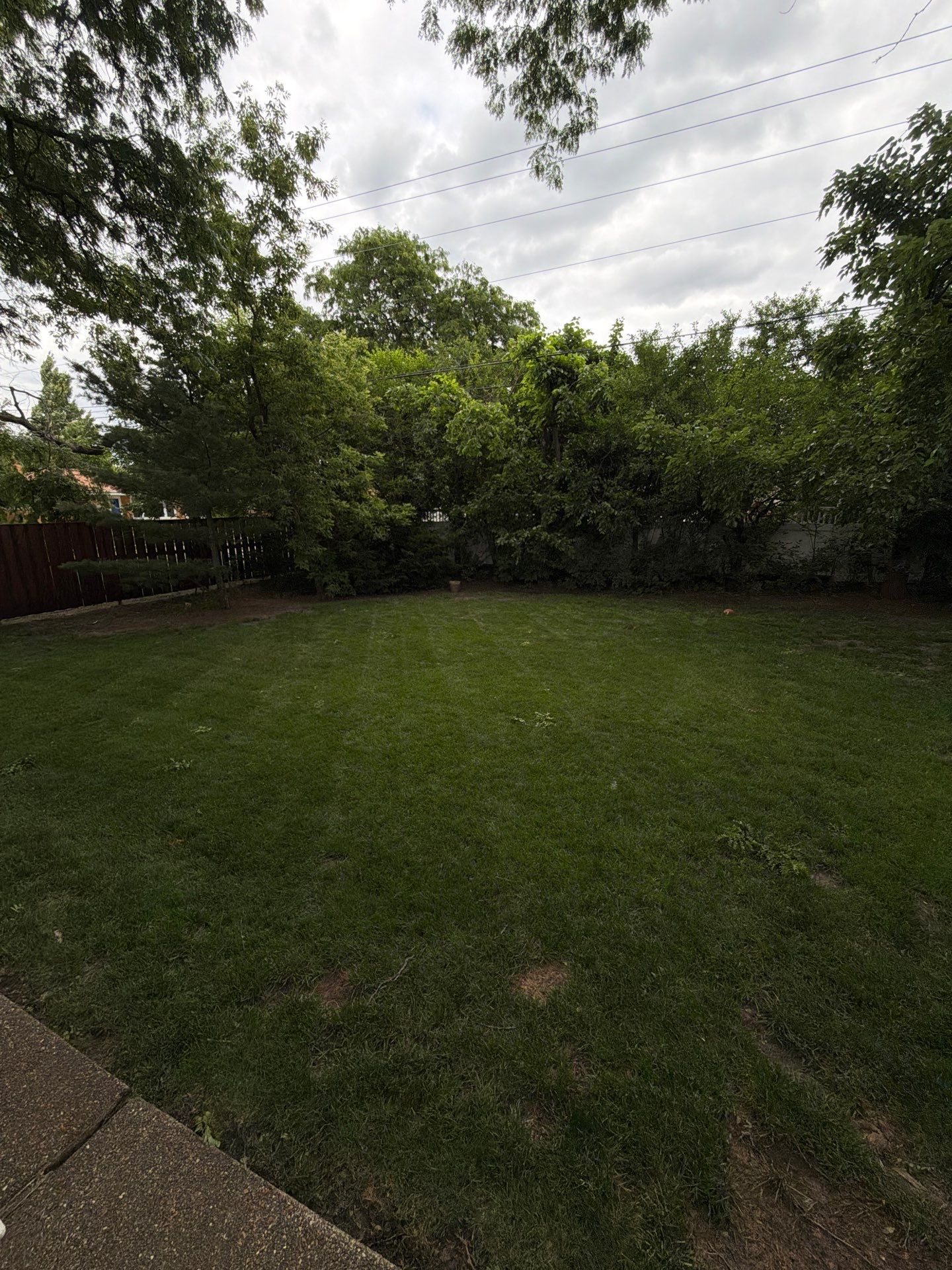 Lauren T. - Arlington Heights, IL by A&N