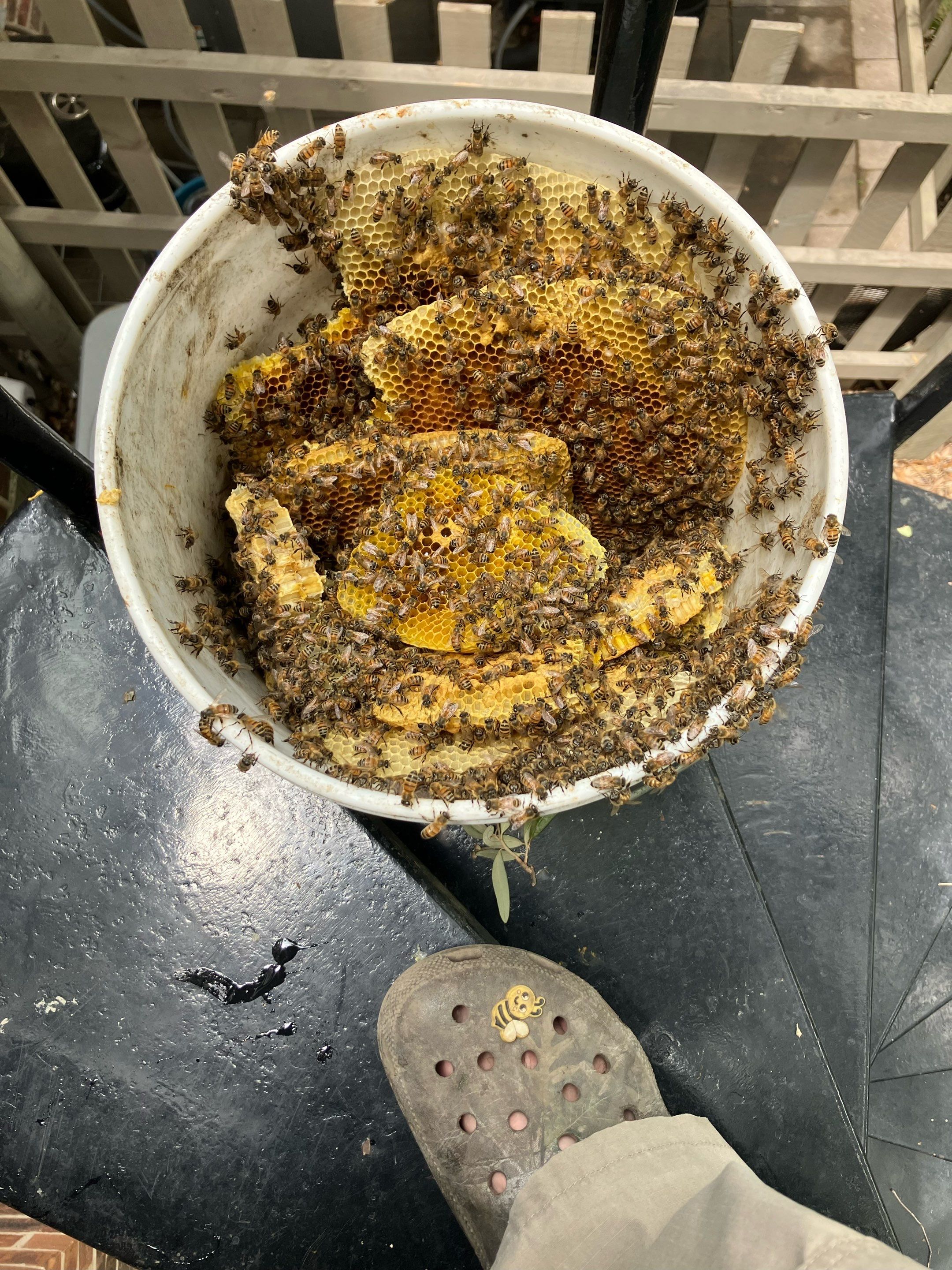 Project in Dallas, TX by Rockwall Honey Bee Company
