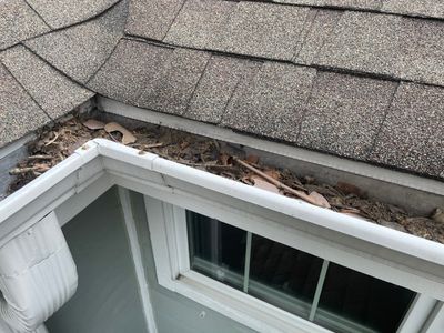 Gutter Protection for Lombard Homes