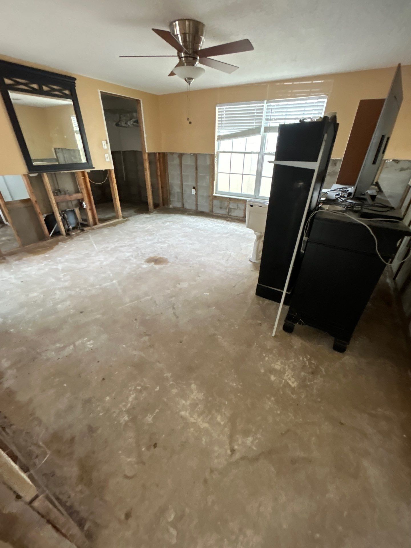 Mold Remediation + Reconstruction Bradenton by Ampm Restoration Services