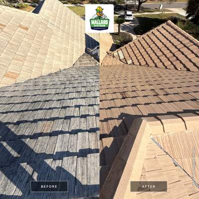 Flat Tile Roof Cleaning