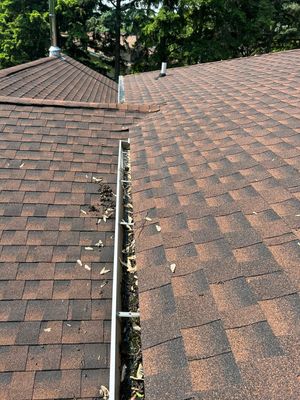 Turtle Shell gutter protection installation in Shorewood, IL 60404, photograph 5
