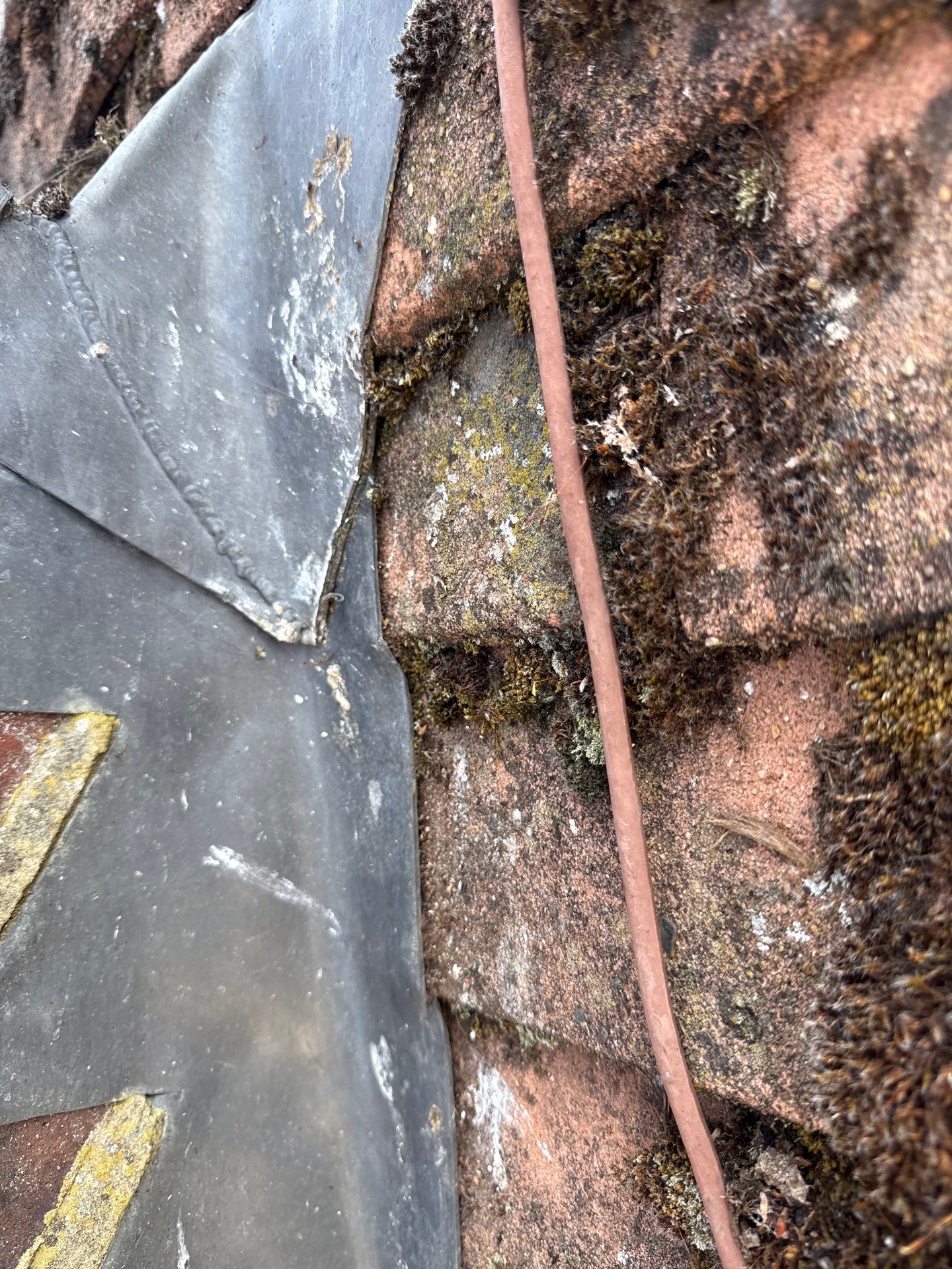 Roof Clean - Gutter Clean - Biocide Treatment by Ges Exterior Cleaning ltd