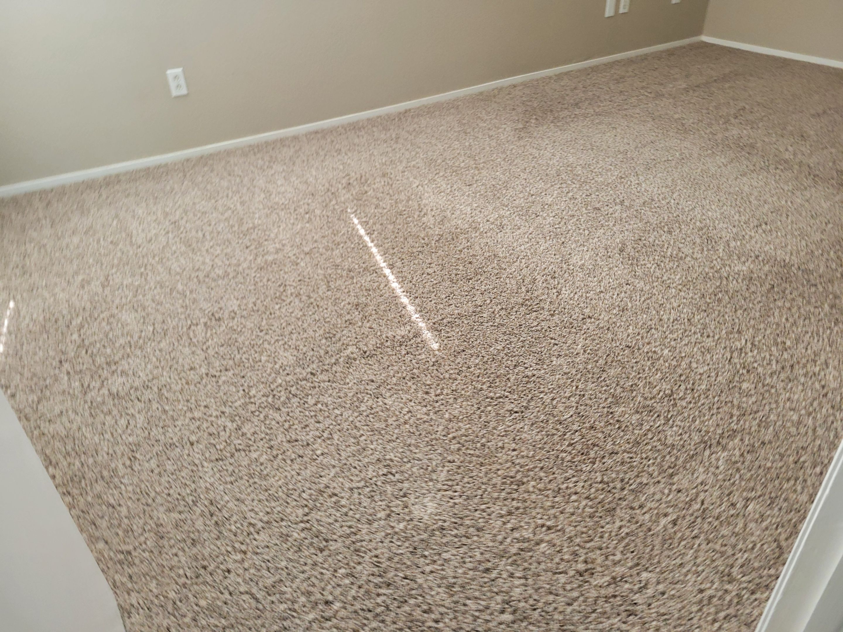 Condo, Move-out Carpet Cleaning by Ardent Carpet Restore LLC