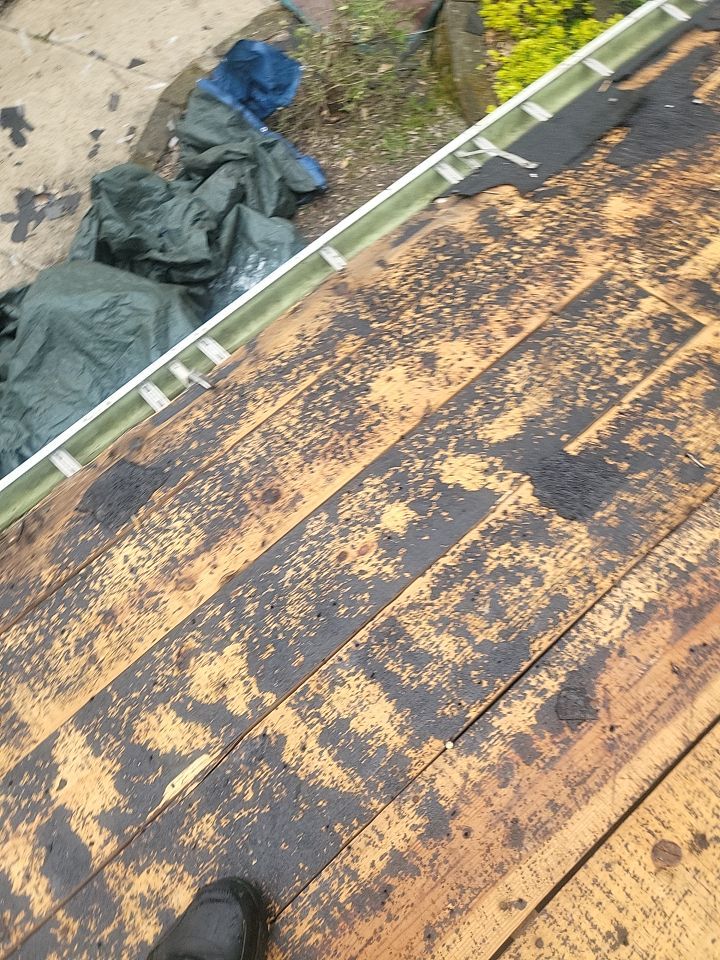 ATLAS PINNACLE COLOR: HEARTHSTONE DRIP EDGE: WHITE by Eagle Eye Roofing