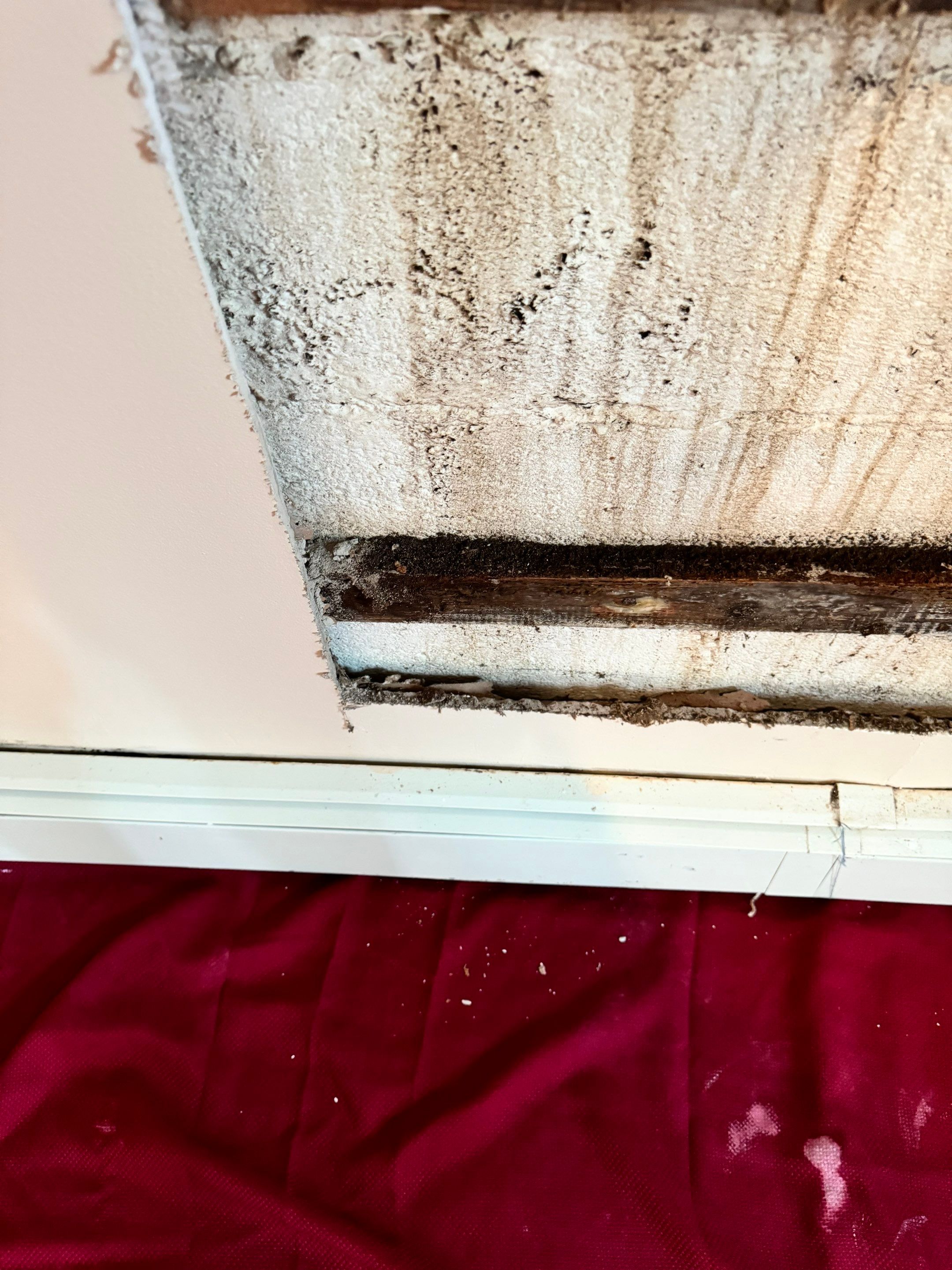Basement Waterproofing Parsippany NJ by Pure Service Pro, LLC 
