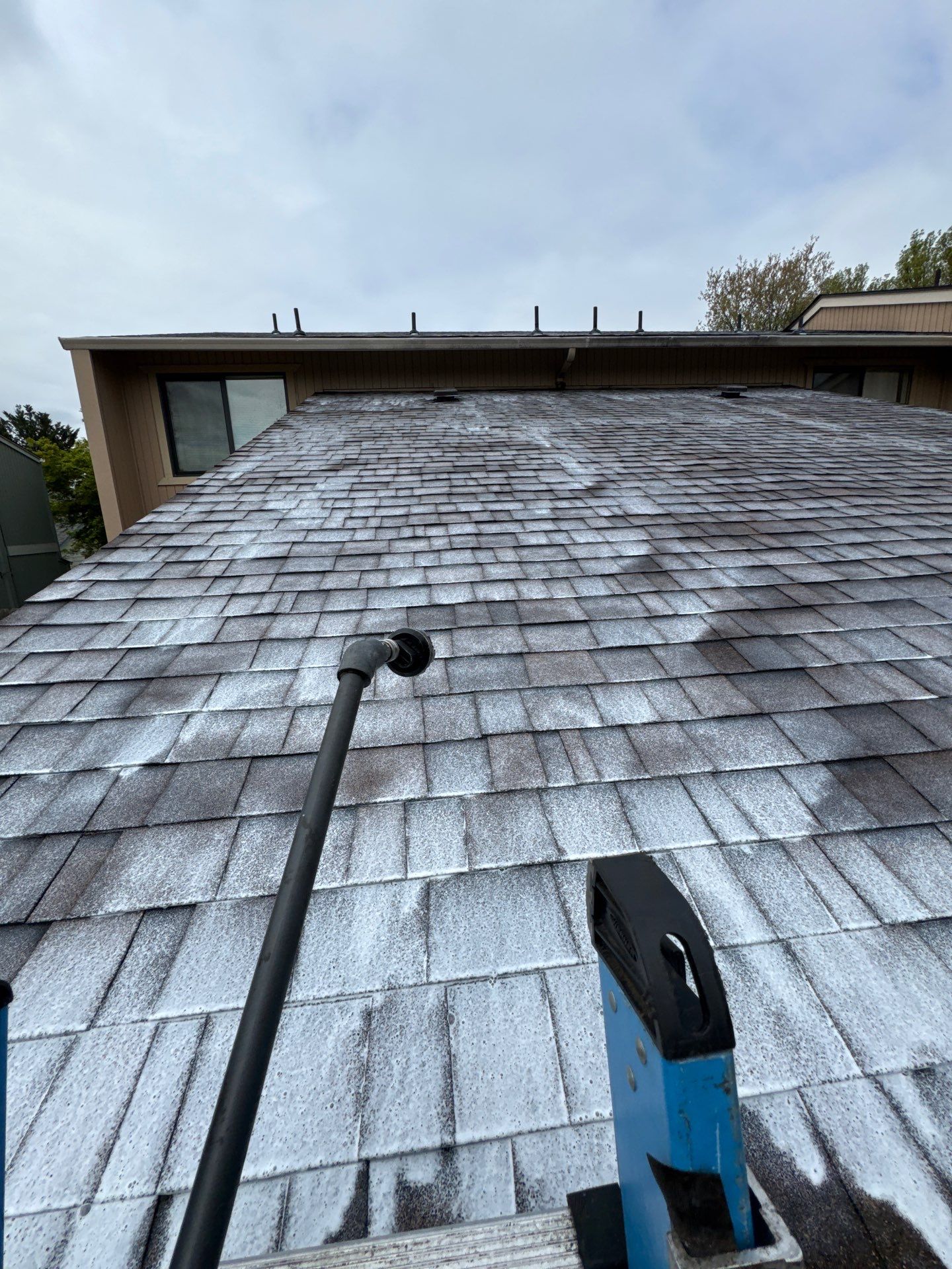 Project in Grants Pass by Roof Maxx of Grants Pass