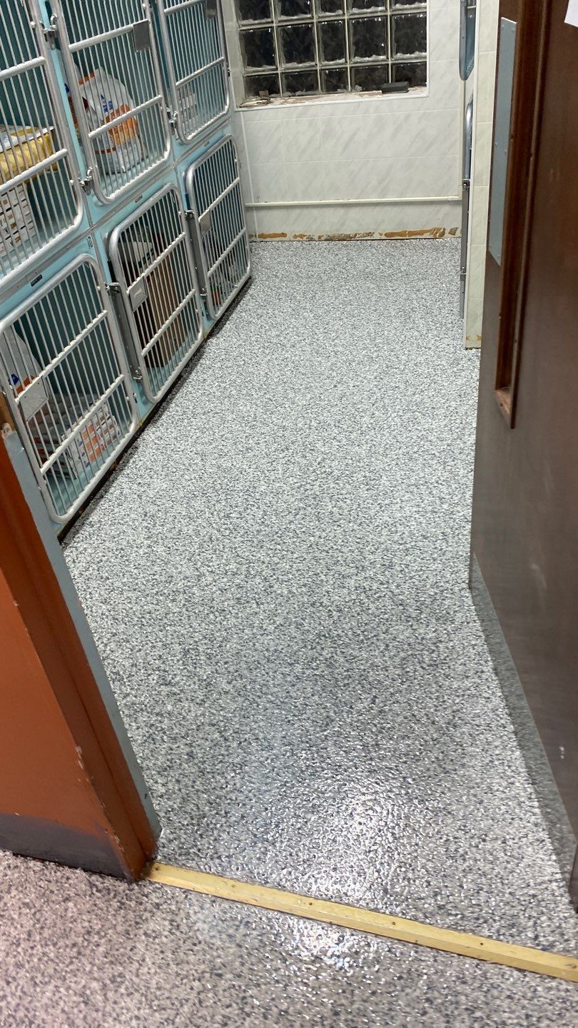 Cat Hospital Project in Pittsburgh by Floors in a Day, Inc