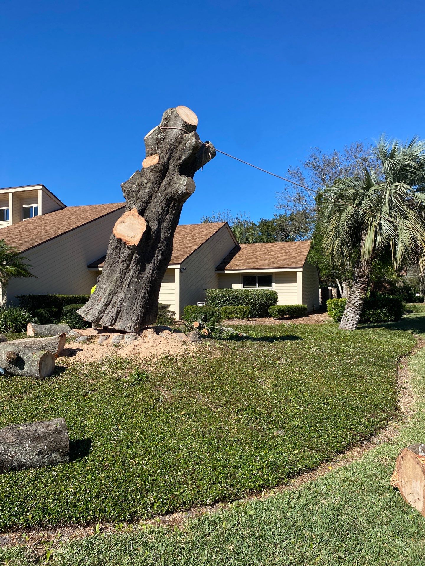 Deerwood Resident | Tree Removal & Stump Grinding by ProGreen Services