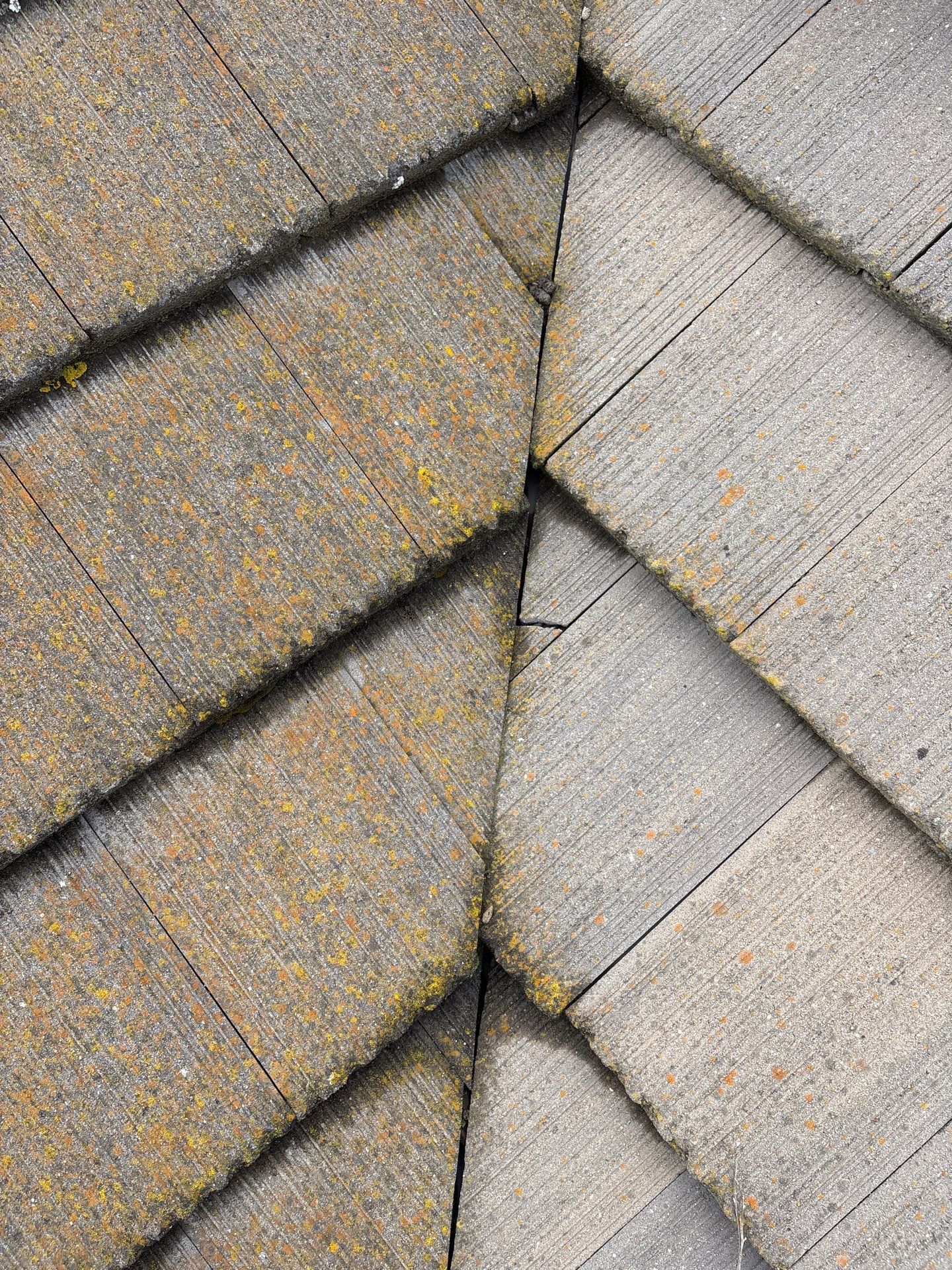 Moss Removal by Top Elevation
