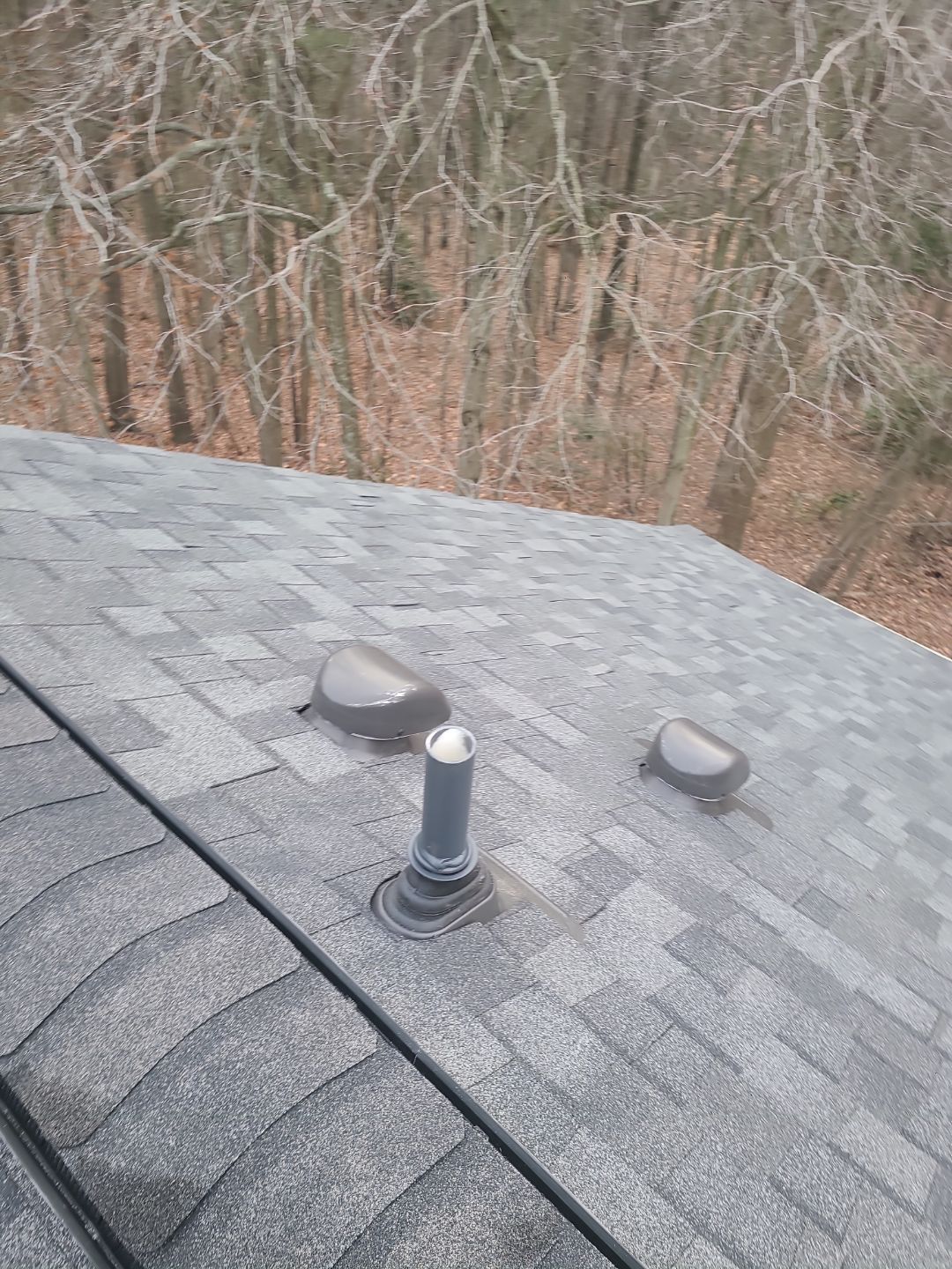 Alexandria CertainTeed Landmark Pro Roof in Max Def Pewterwood  by RM Banning, Inc.