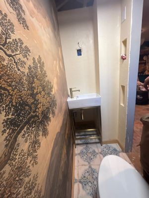 Toilet and Sink Install