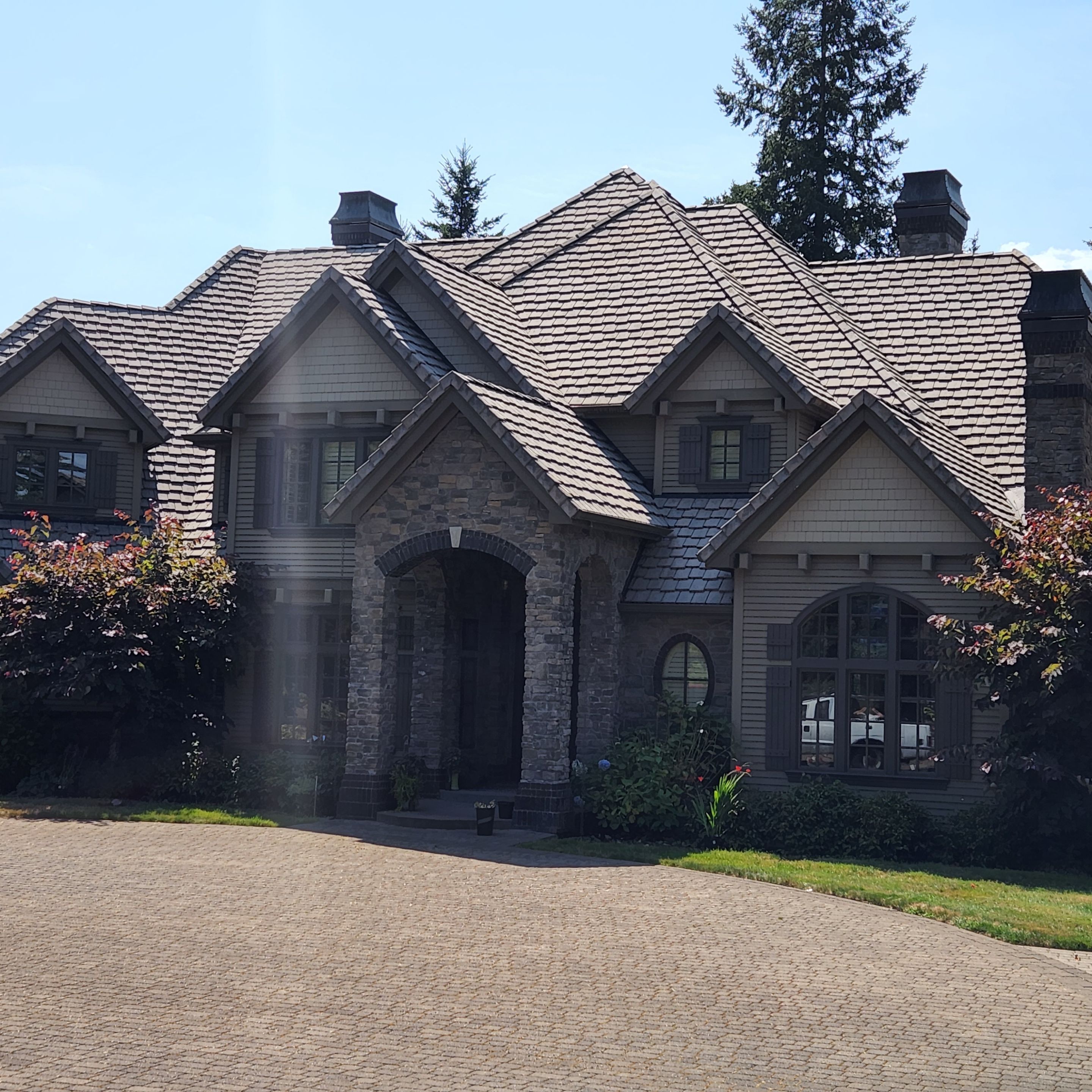 Moss Removal/ Treatment using Biocide by Willamette Outdoor Wash LLC