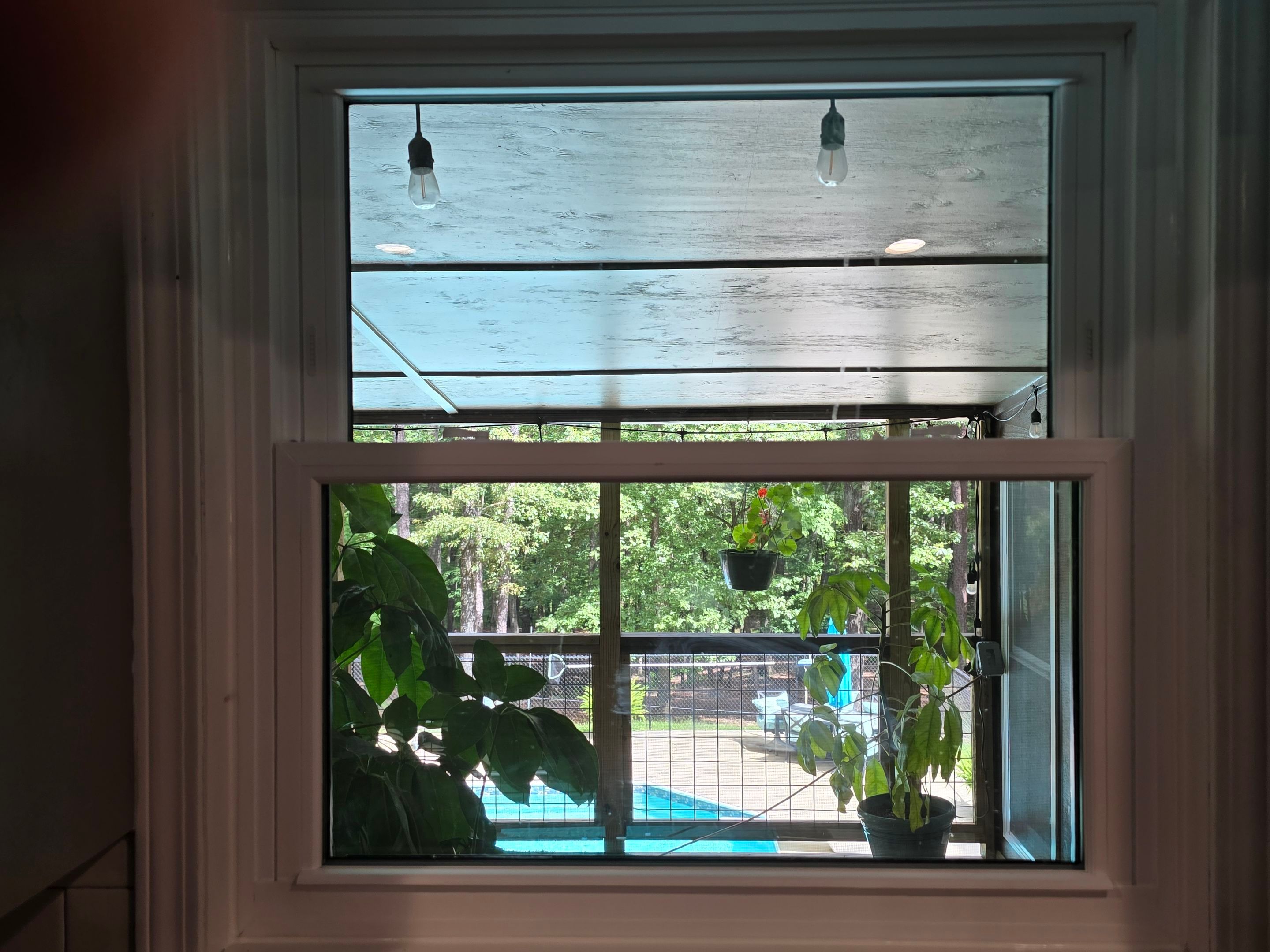 Reed Project in Chelsea by The Window Source