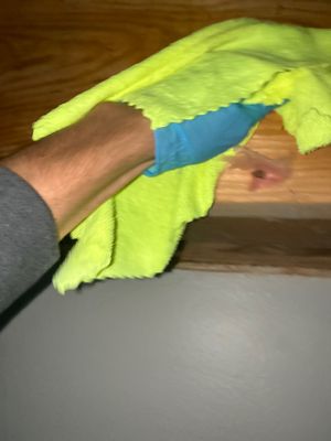 Ceiling Leak Repair — Pensacola, FL
