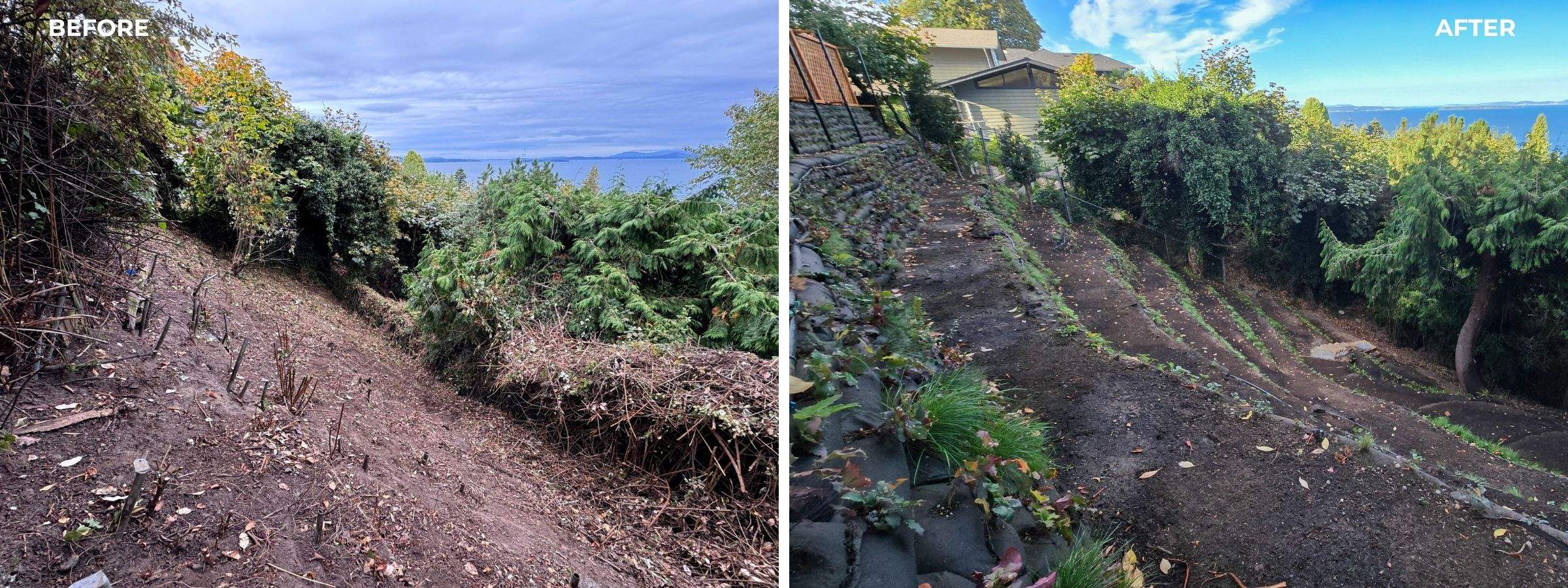 Georgia Park Terrace — Living Slope Transformation by Habanero Landscape Solutions