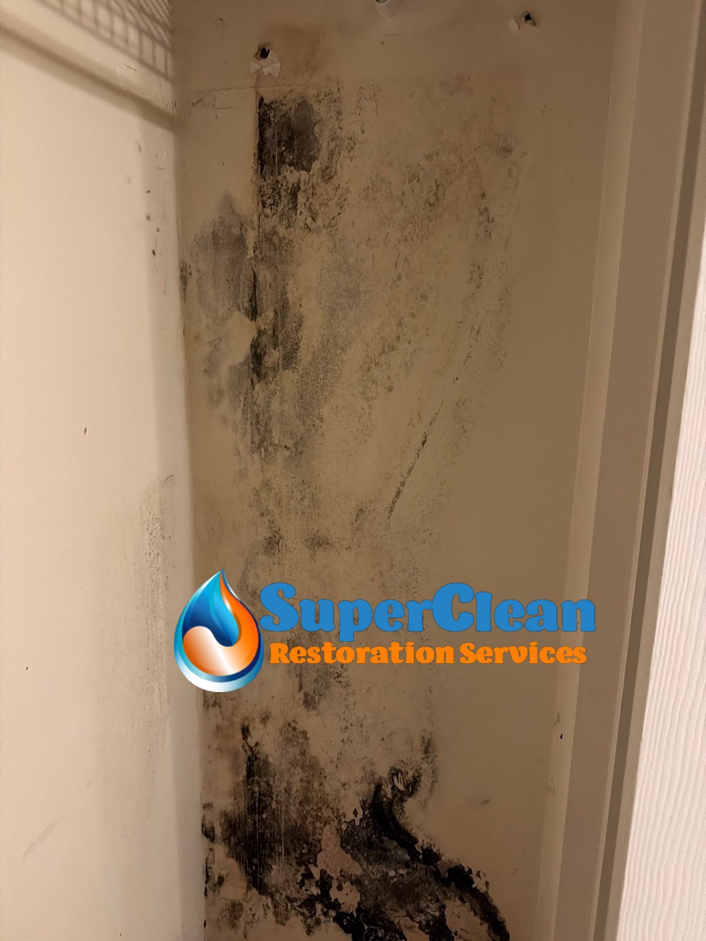 Professional Mold Remediation and Interior Water Damage Restoration in Wellington by SuperClean